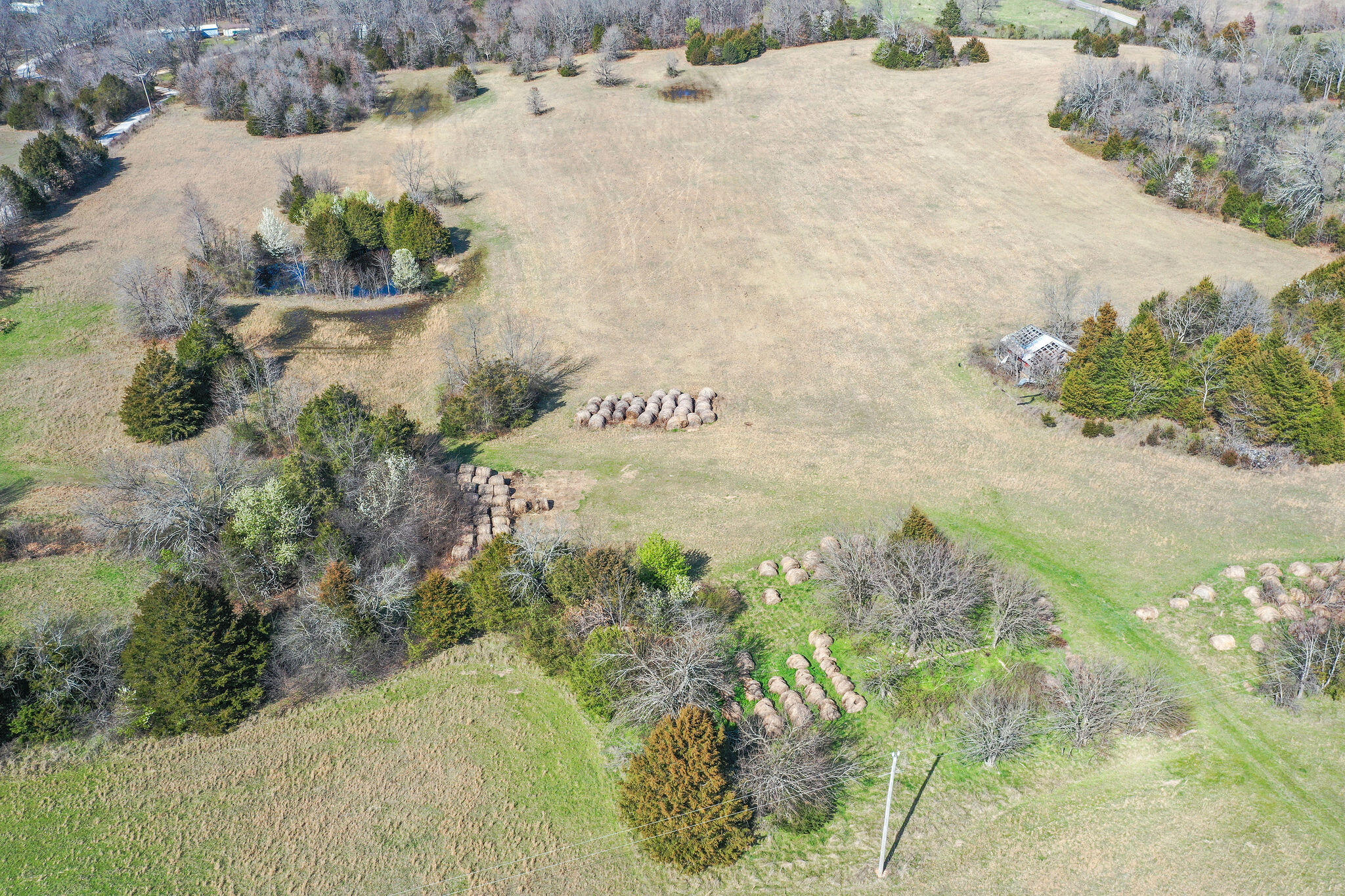 Photo 10 - Land for sale – 6738  County Road 429   Ava, MO