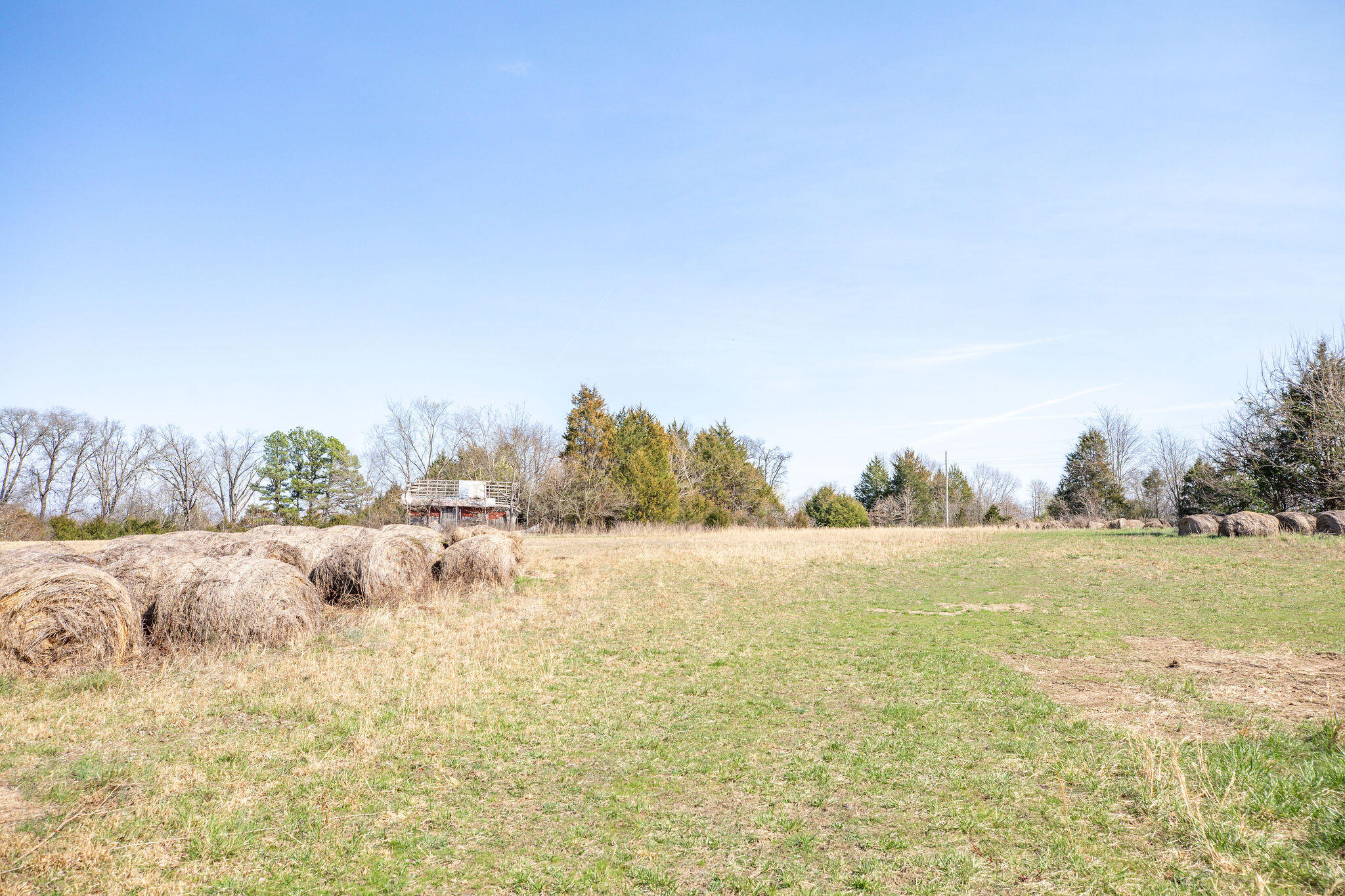 Photo 17 - Land for sale – 6738  County Road 429   Ava, MO
