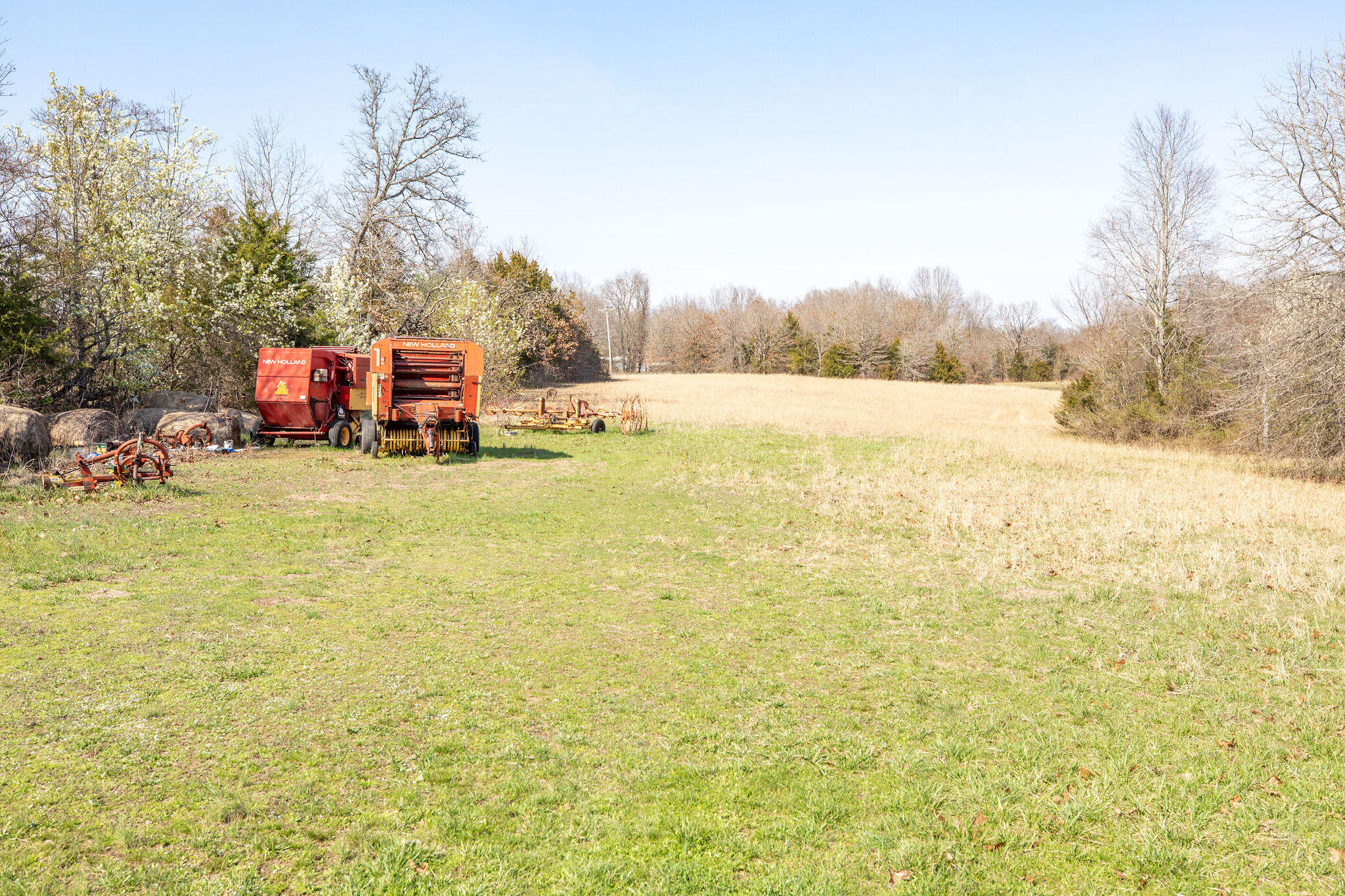 Photo 19 - Land for sale – 6738  County Road 429   Ava, MO