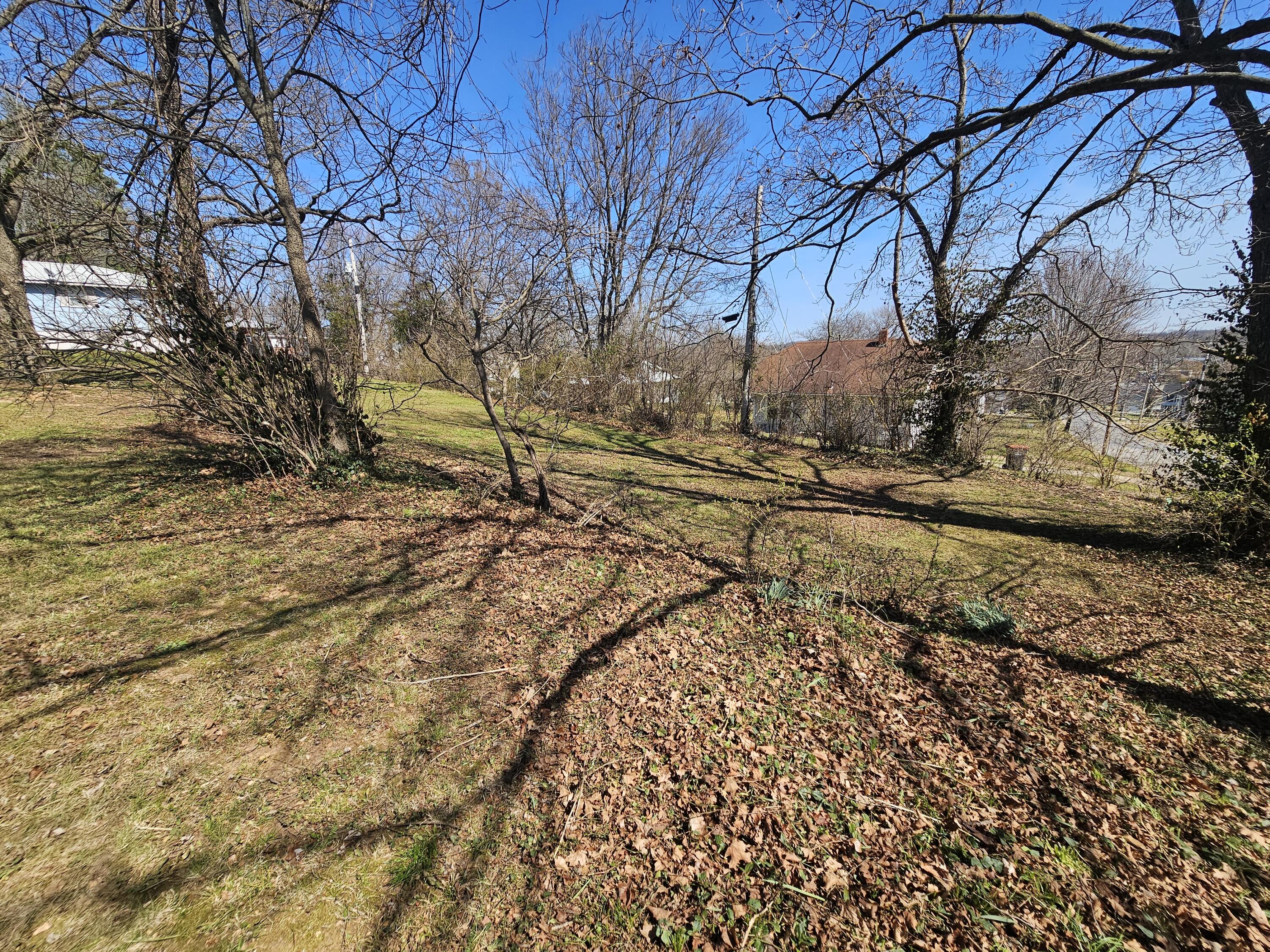 Photo 3 - Residential for sale – 603 W 1st Street  Cassville, MO
