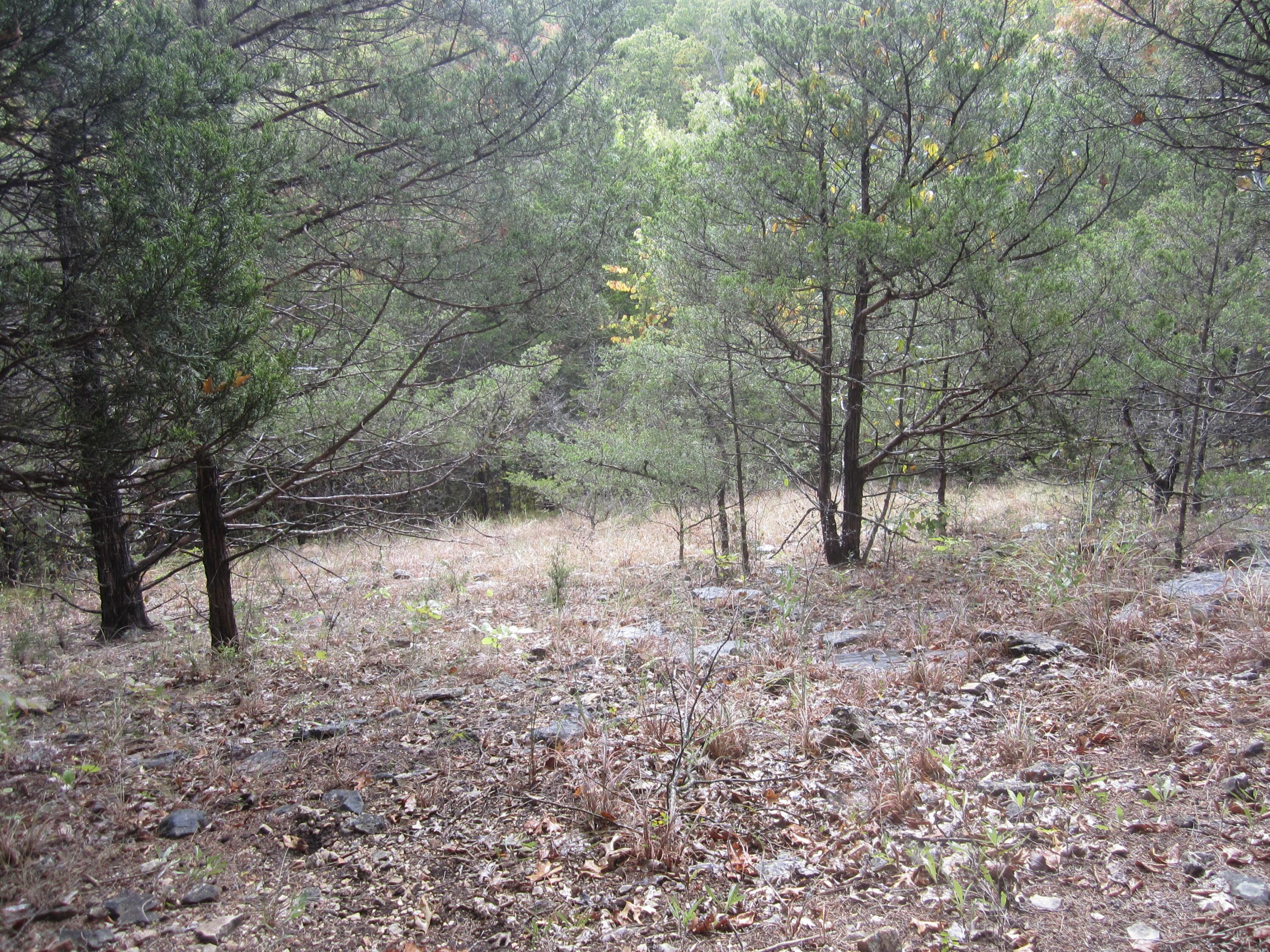 Photo 21 - Land for sale – 000  Map Lane  Branson, MO
