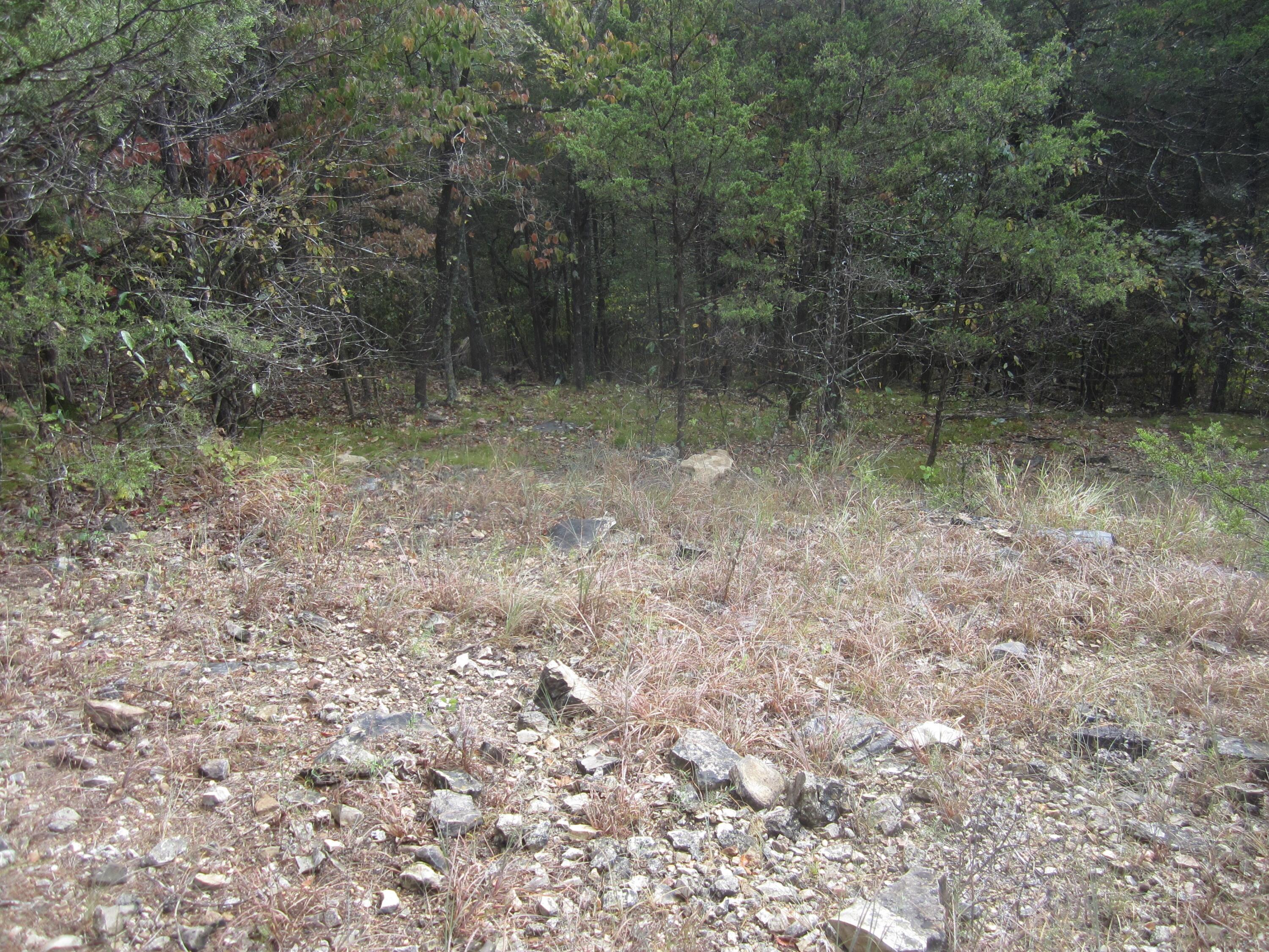 Photo 20 - Land for sale – 000  Map Lane  Branson, MO