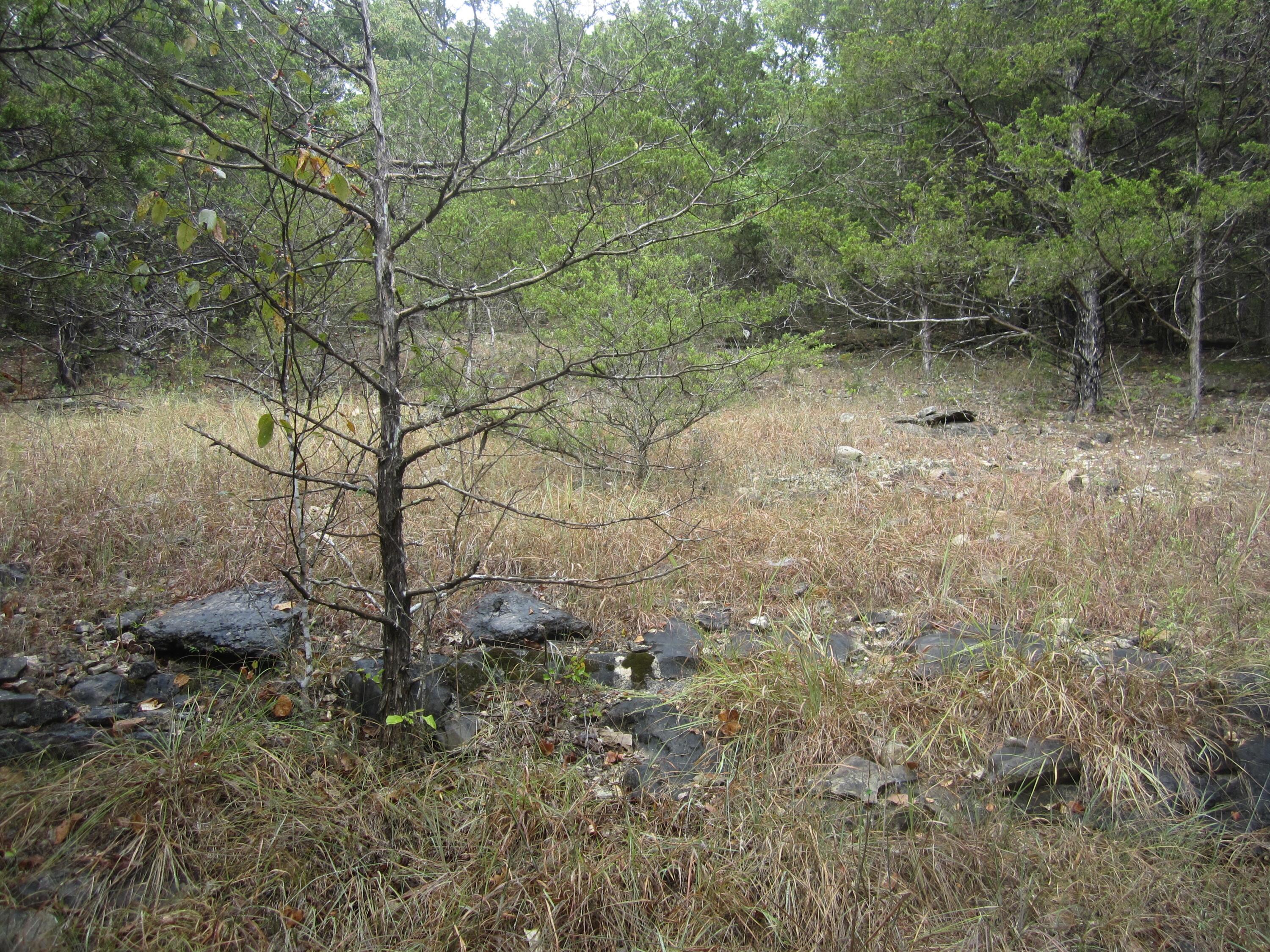 Photo 19 - Land for sale – 000  Map Lane  Branson, MO