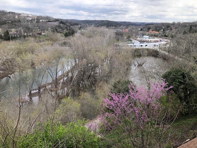 Photo 21 - Residential for sale – 530  Taneycomo Hill Drive  Hollister, MO