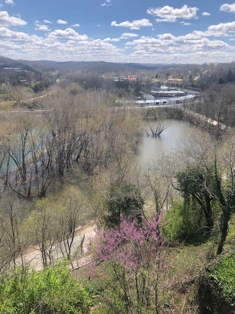 Photo 34 - Residential for sale – 530  Taneycomo Hill Drive  Hollister, MO