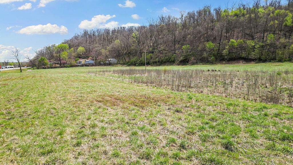 Photo 4 - Commercial Sale for sale – Tbd  Highway 71 & Hwy H   Pineville, MO