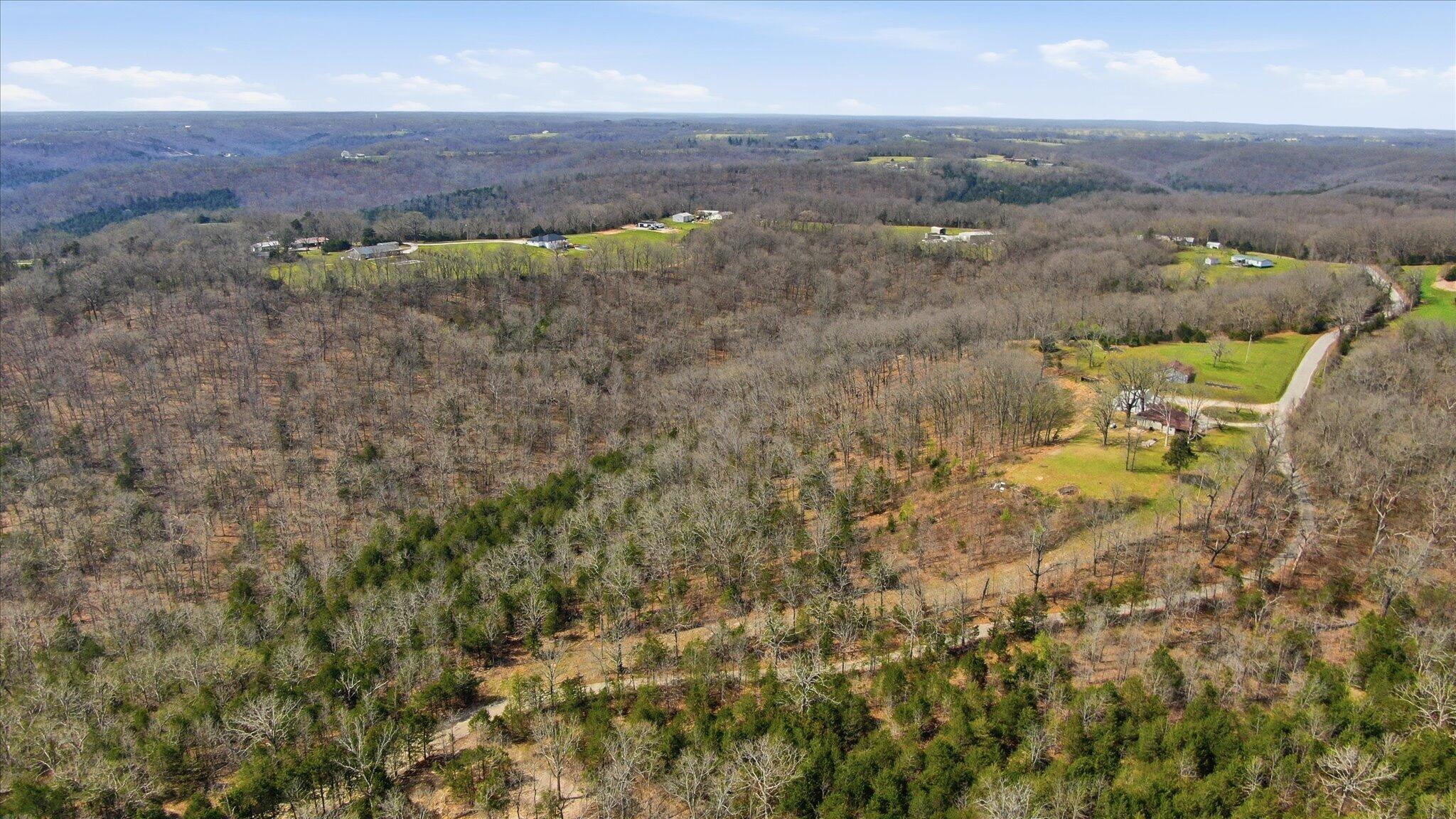 Photo 3 - Land for sale – 000  Bray Mines Road  Oldfield, MO