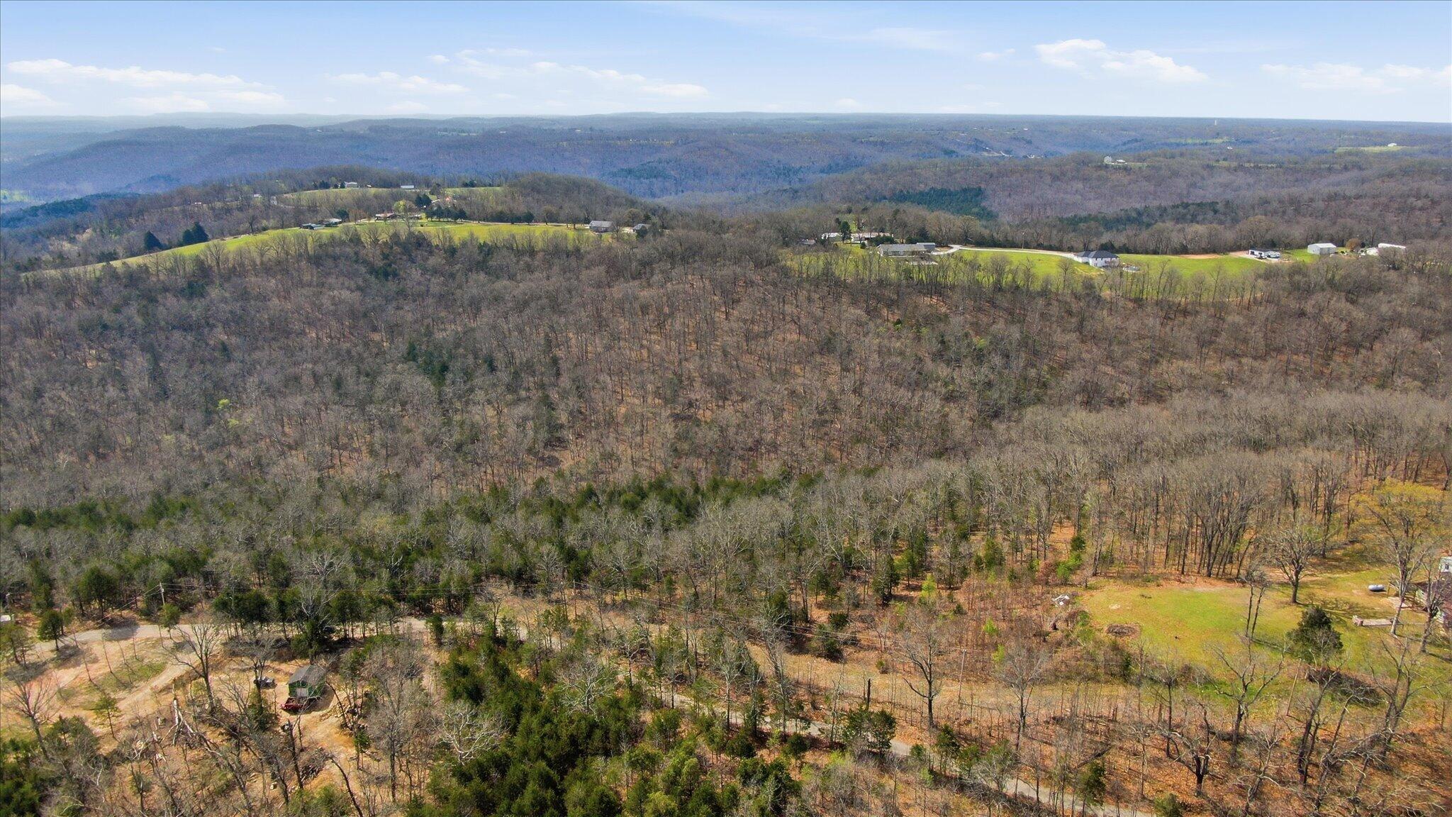Photo 2 - Land for sale – 000  Bray Mines Road  Oldfield, MO