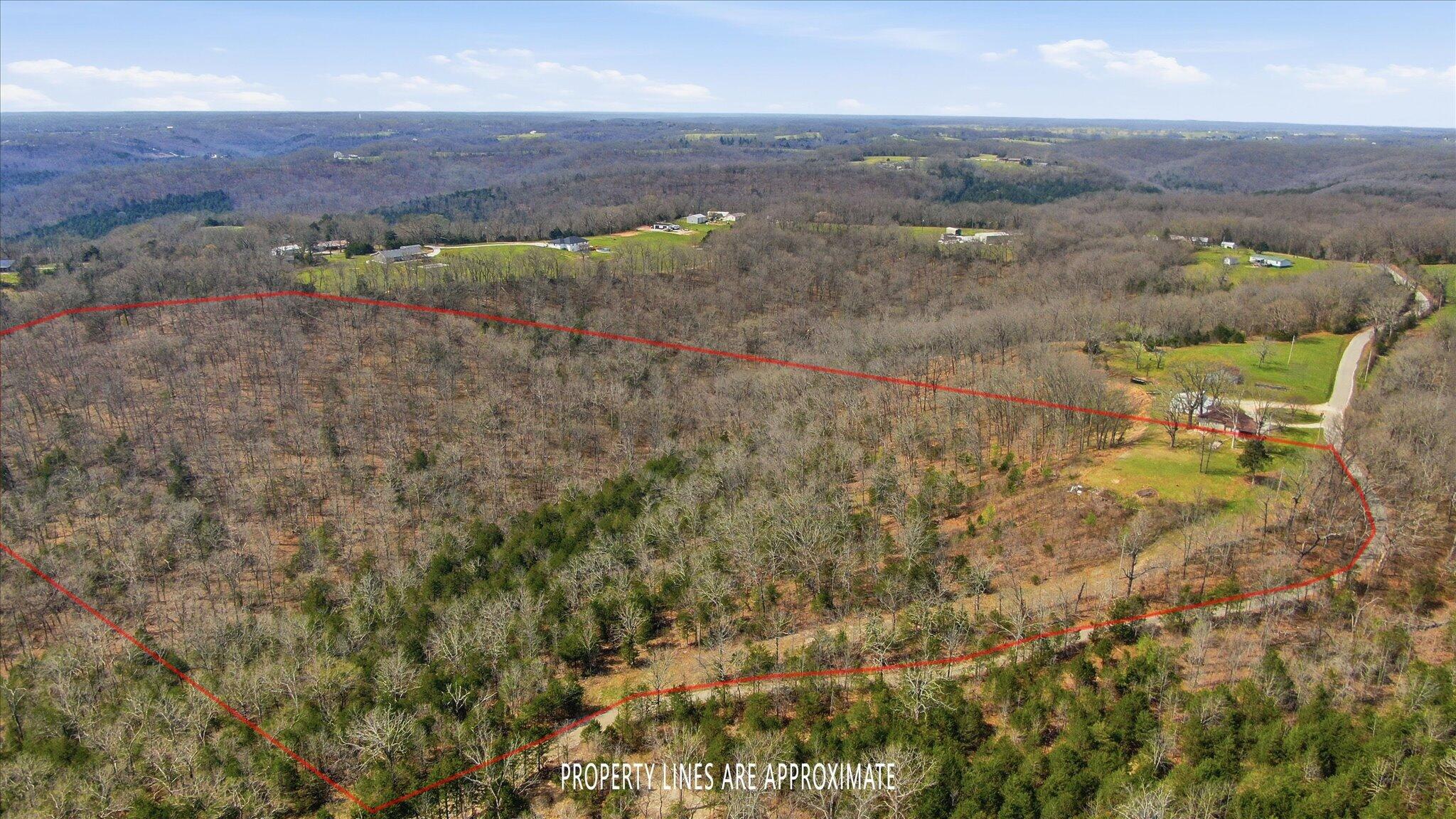 Photo 4 - Land for sale – 000  Bray Mines Road  Oldfield, MO