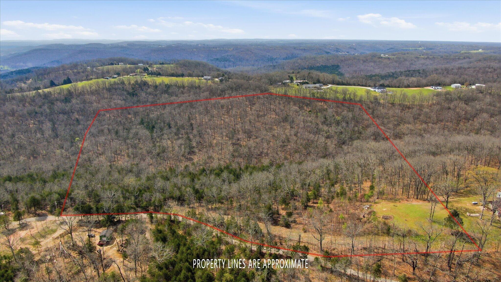 Land for sale – 000  Bray Mines Road  Oldfield, MO