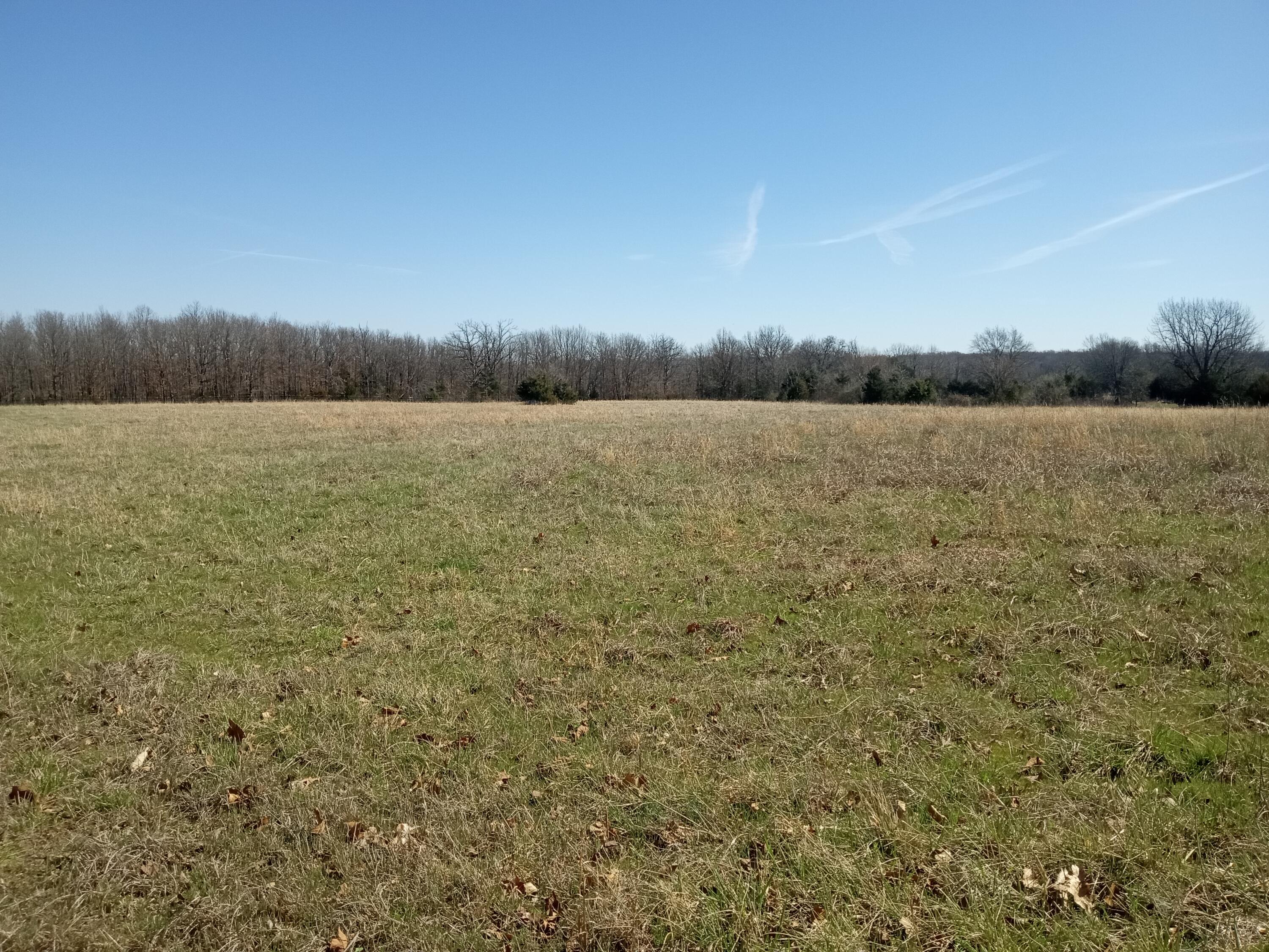 Photo 20 - Land for sale – 97  Three Springs   Long Lane, MO