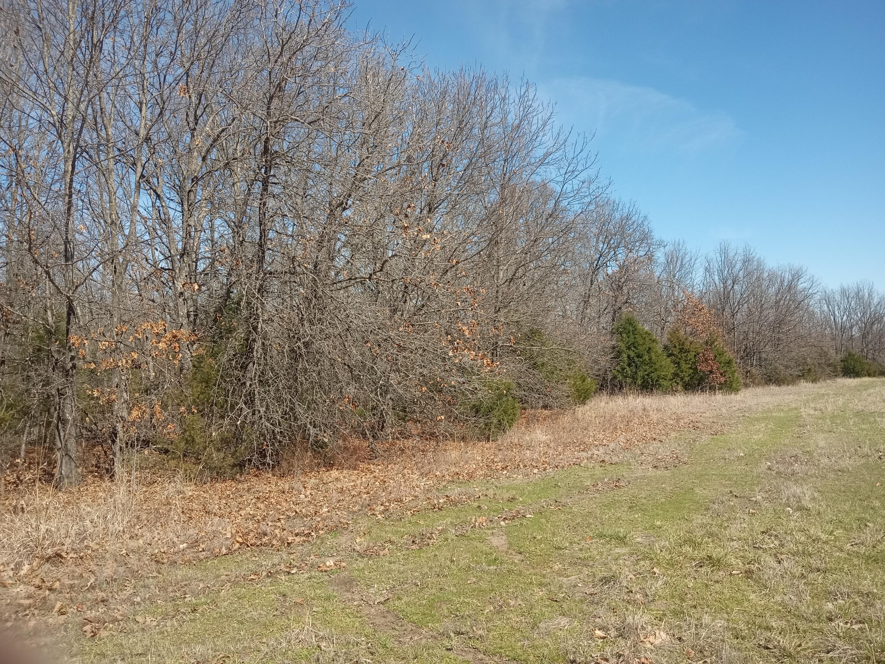 Photo 19 - Land for sale – 97  Three Springs   Long Lane, MO
