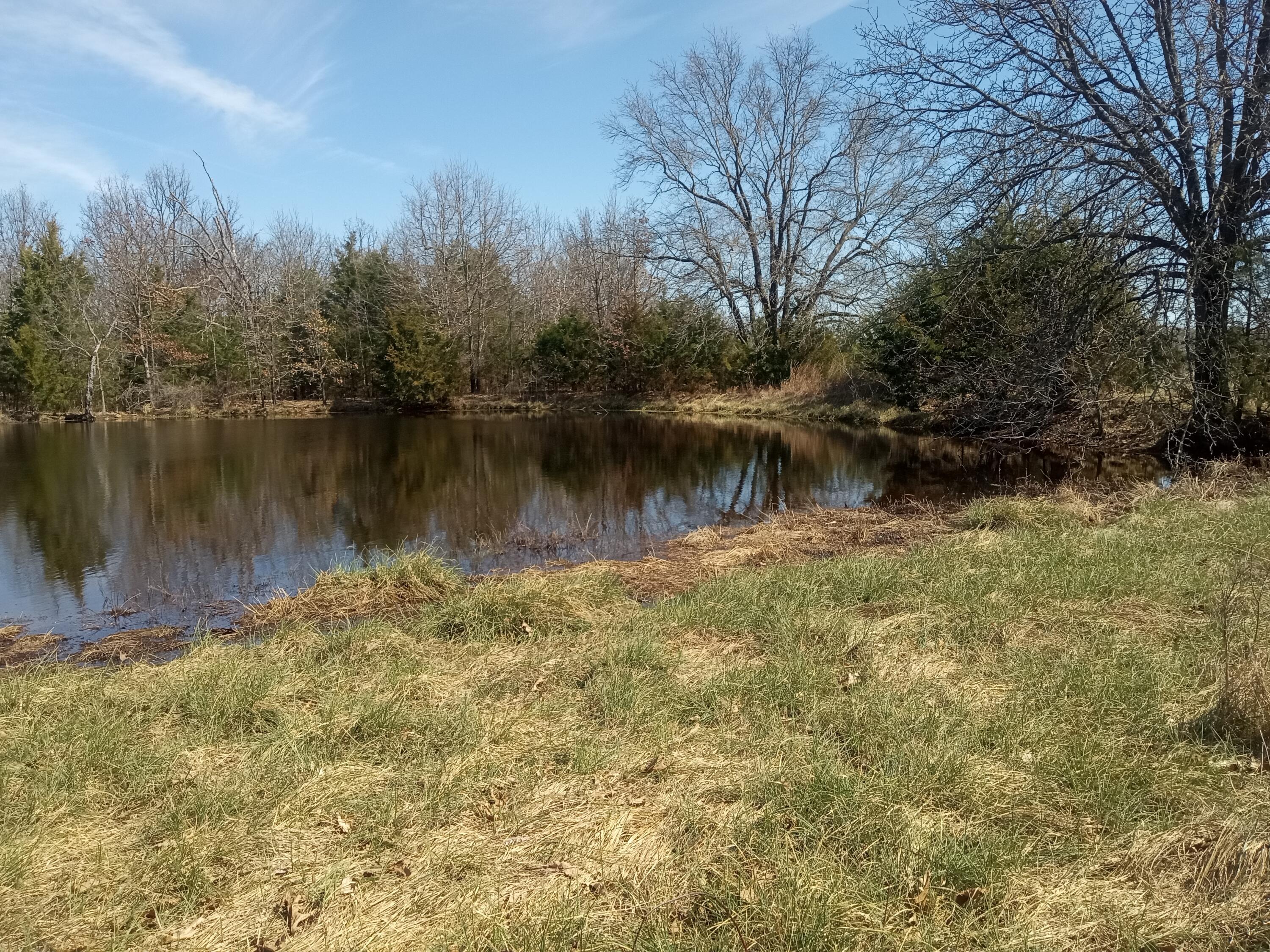 Photo 15 - Land for sale – 97  Three Springs   Long Lane, MO