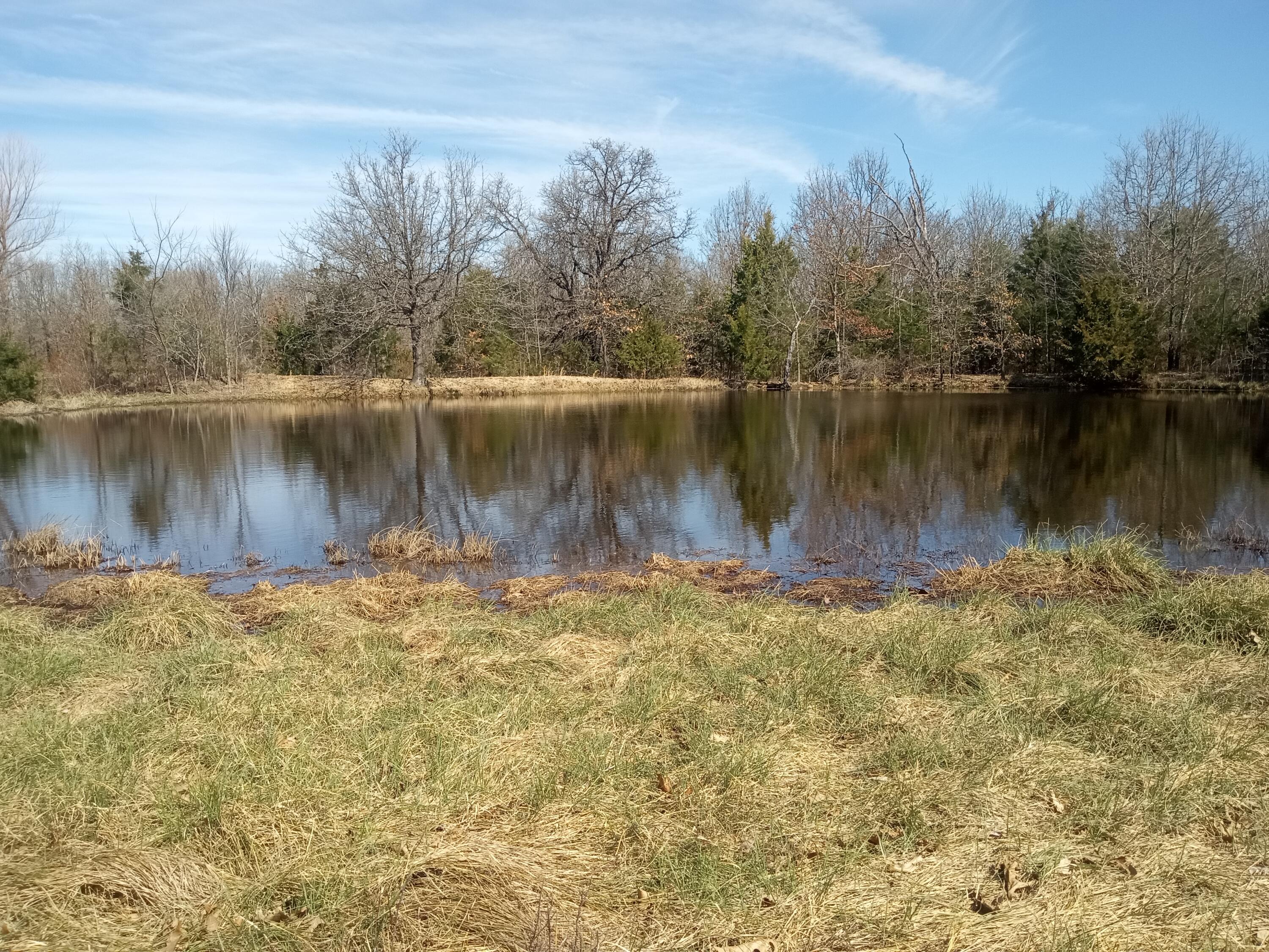 Photo 13 - Land for sale – 97  Three Springs   Long Lane, MO