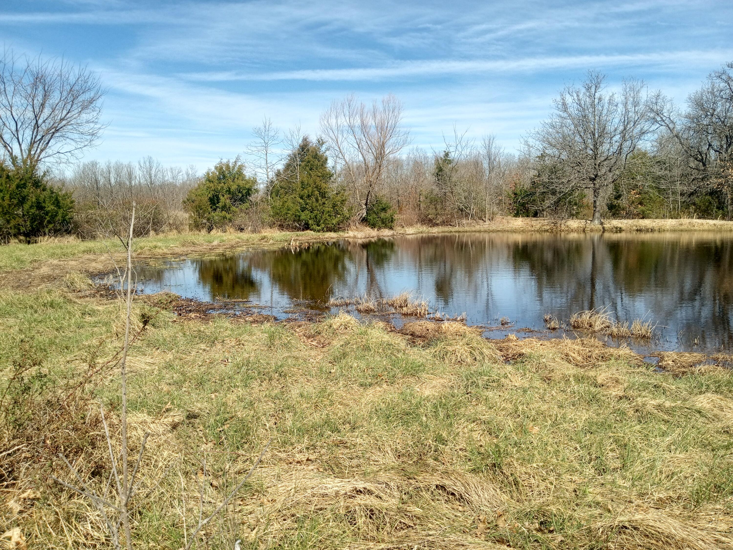 Photo 14 - Land for sale – 97  Three Springs   Long Lane, MO