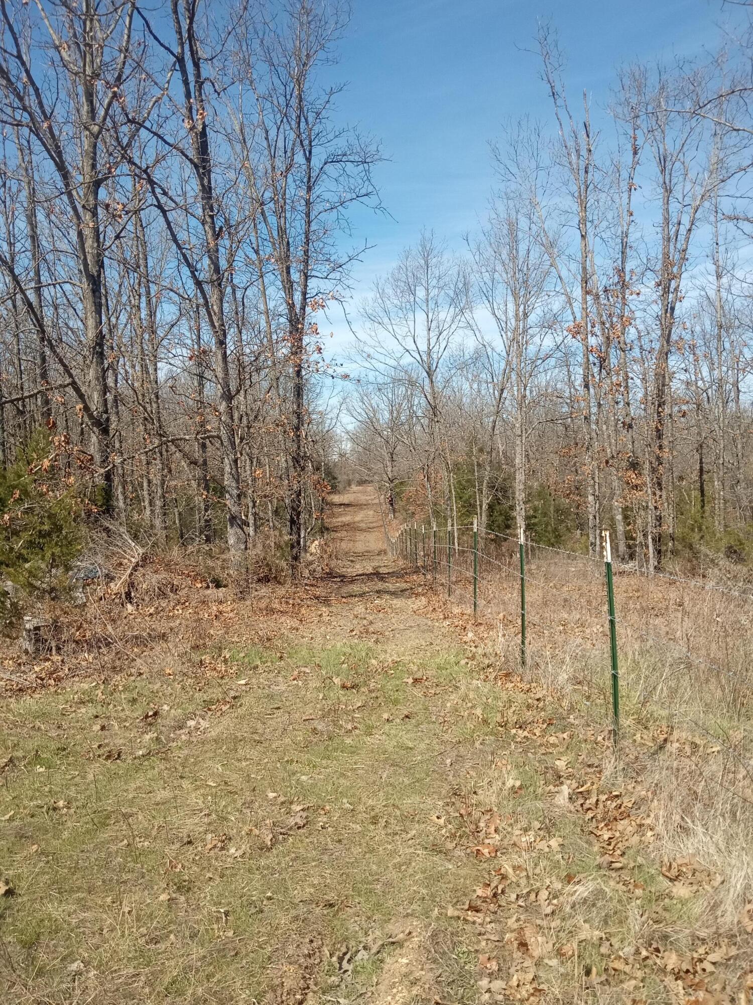 Photo 17 - Land for sale – 97  Three Springs   Long Lane, MO