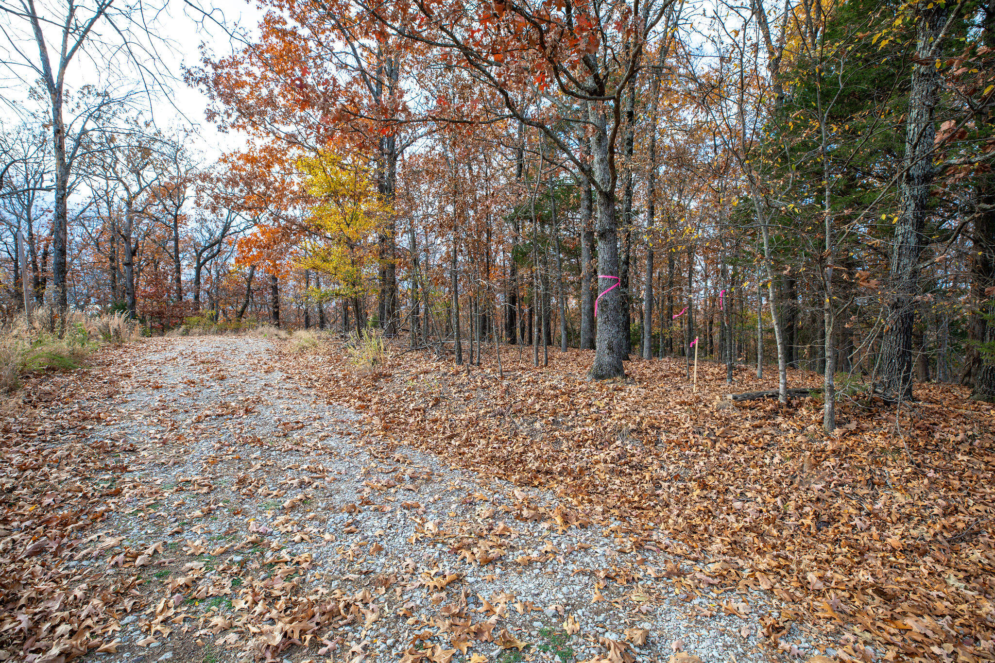 Photo 10 - Land for sale – Lot 4  Whispering Hill Drive  Blue Eye, MO