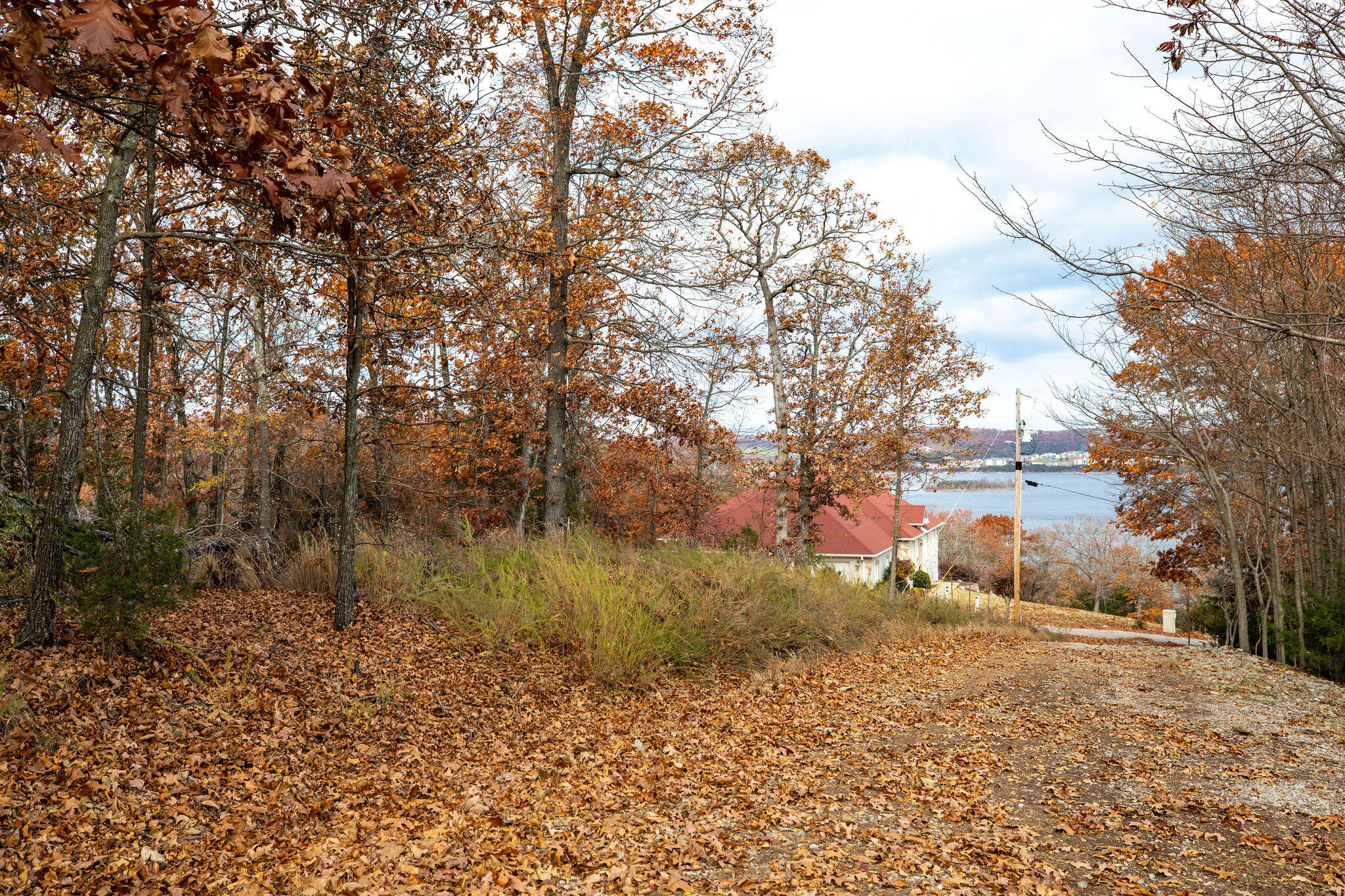 Photo 7 - Land for sale – Lot 4  Whispering Hill Drive  Blue Eye, MO