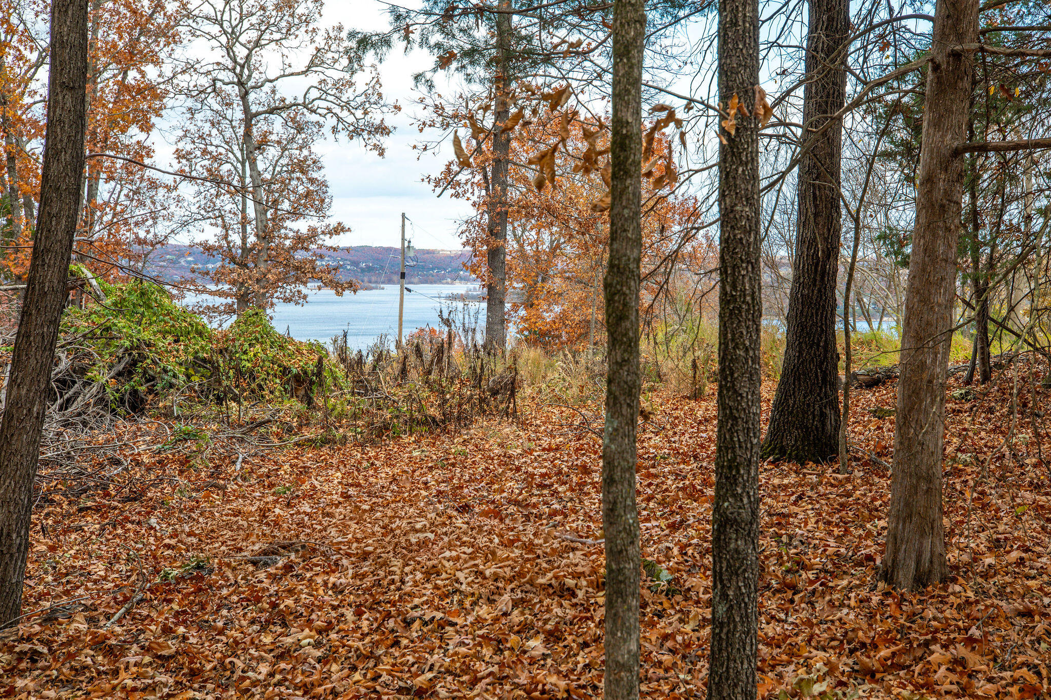 Photo 8 - Land for sale – Lot 4  Whispering Hill Drive  Blue Eye, MO
