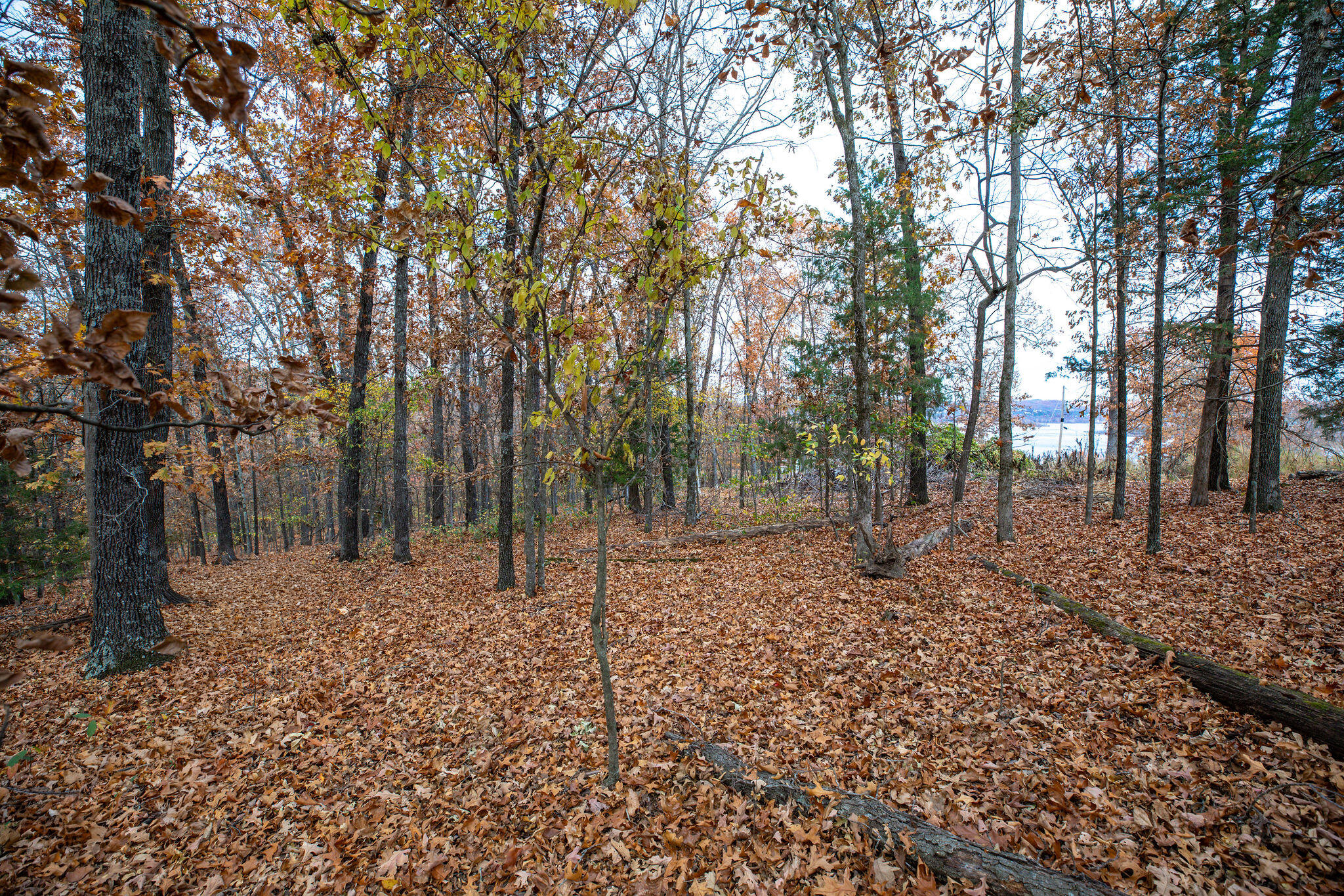 Photo 9 - Land for sale – Lot 4  Whispering Hill Drive  Blue Eye, MO