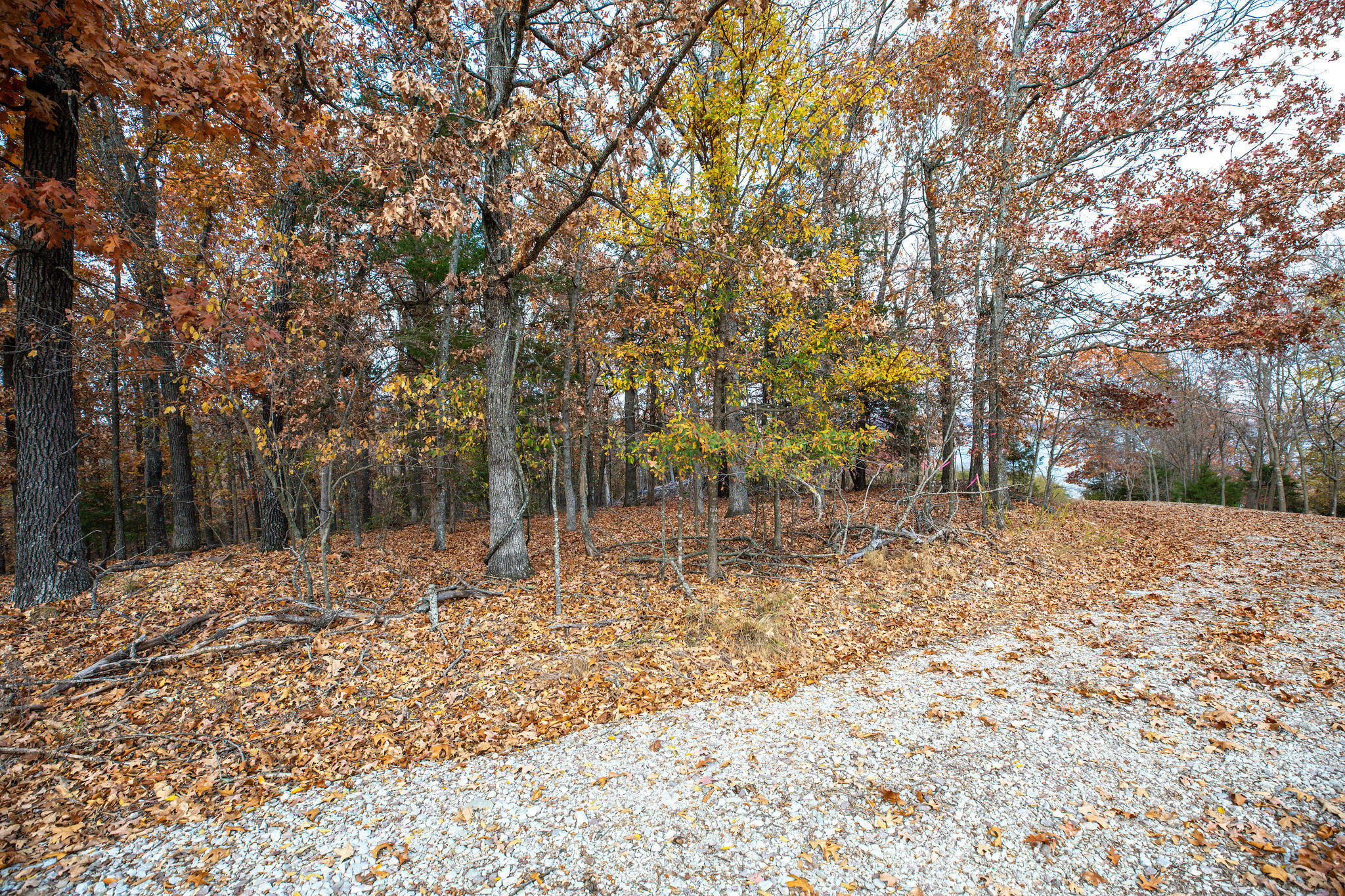 Photo 11 - Land for sale – Lot 4  Whispering Hill Drive  Blue Eye, MO