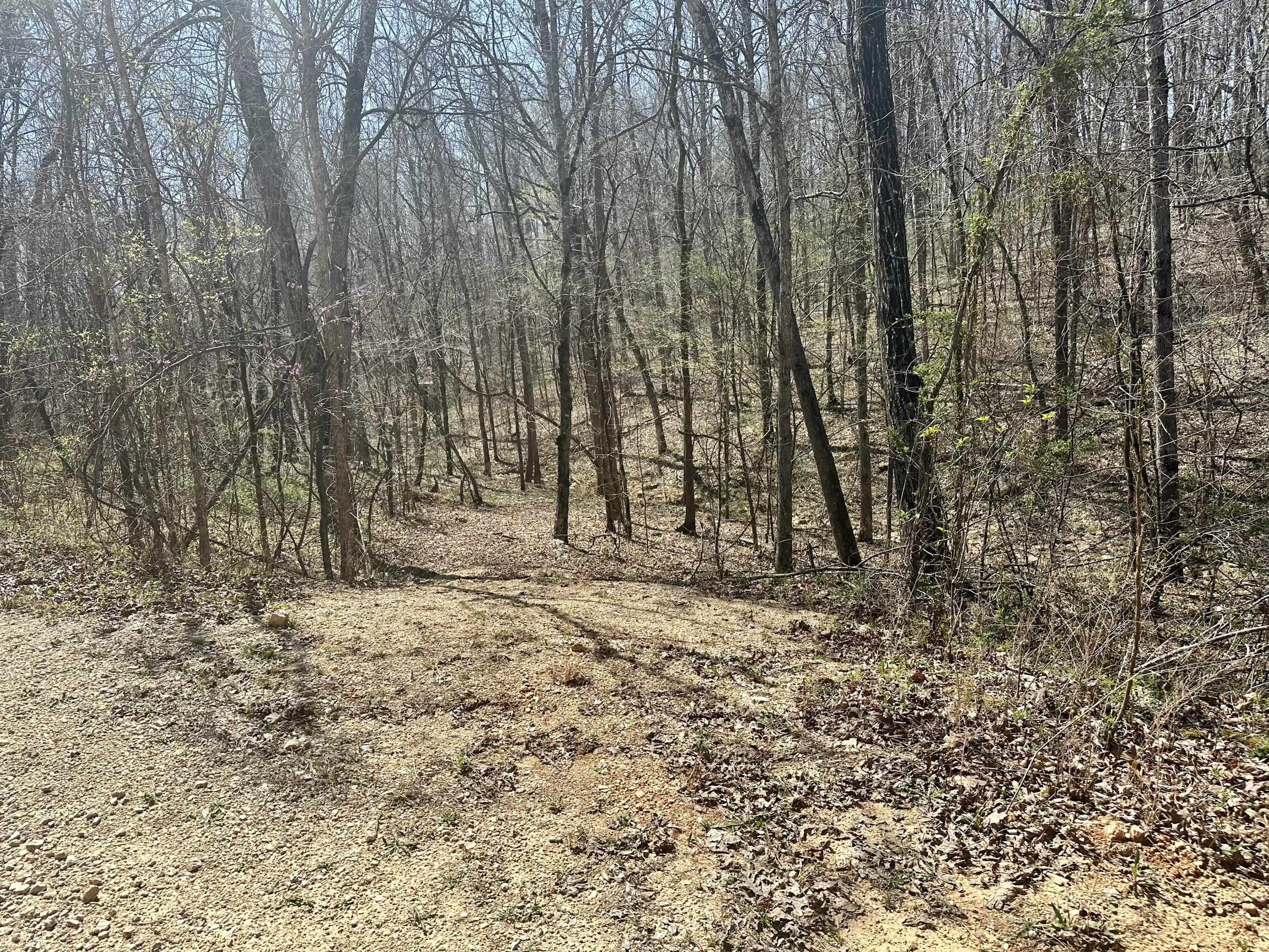 Photo 5 - Land for sale – 000  Water Tower Road  Van Buren, MO