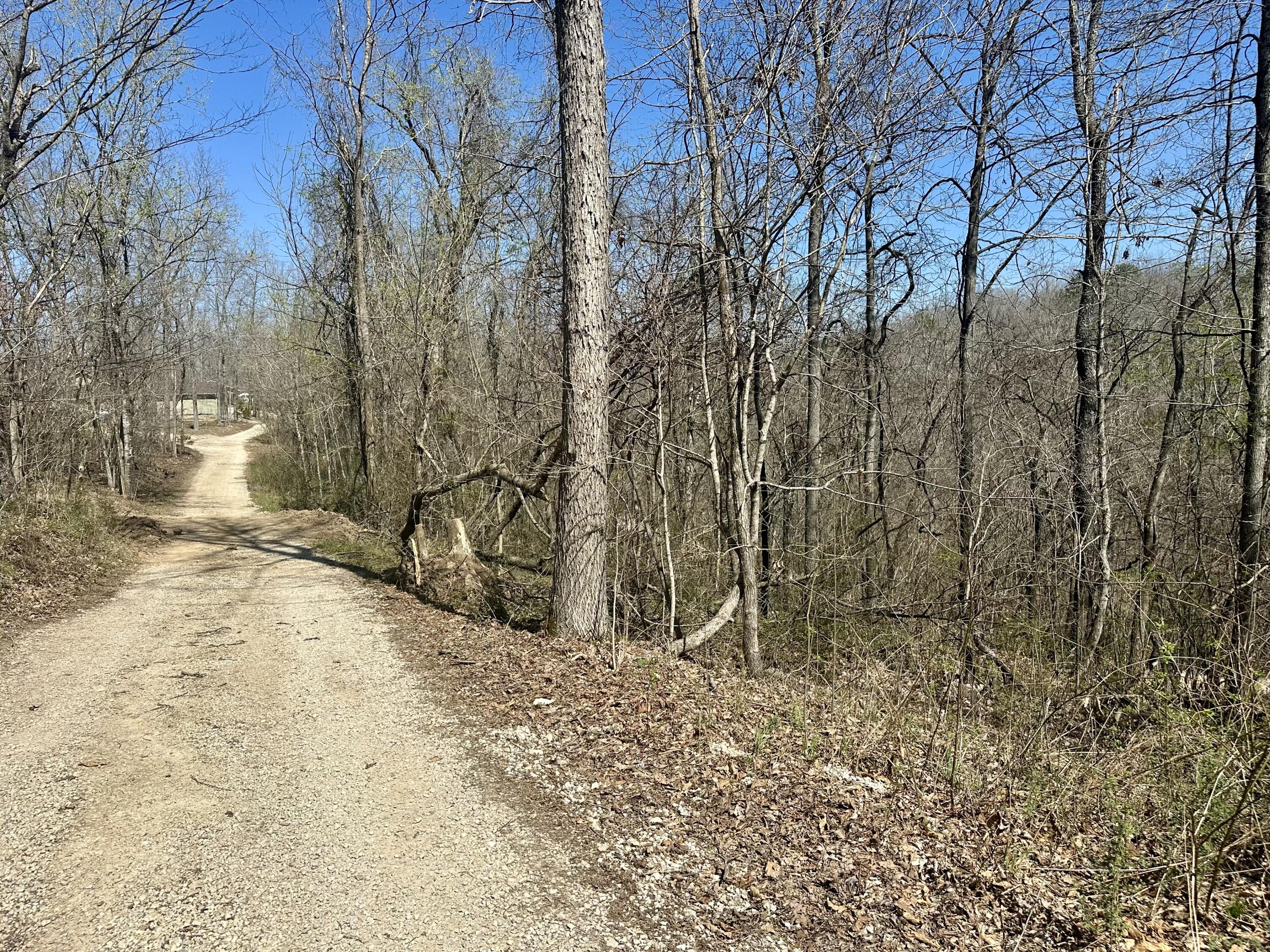 Photo 4 - Land for sale – 000  Water Tower Road  Van Buren, MO