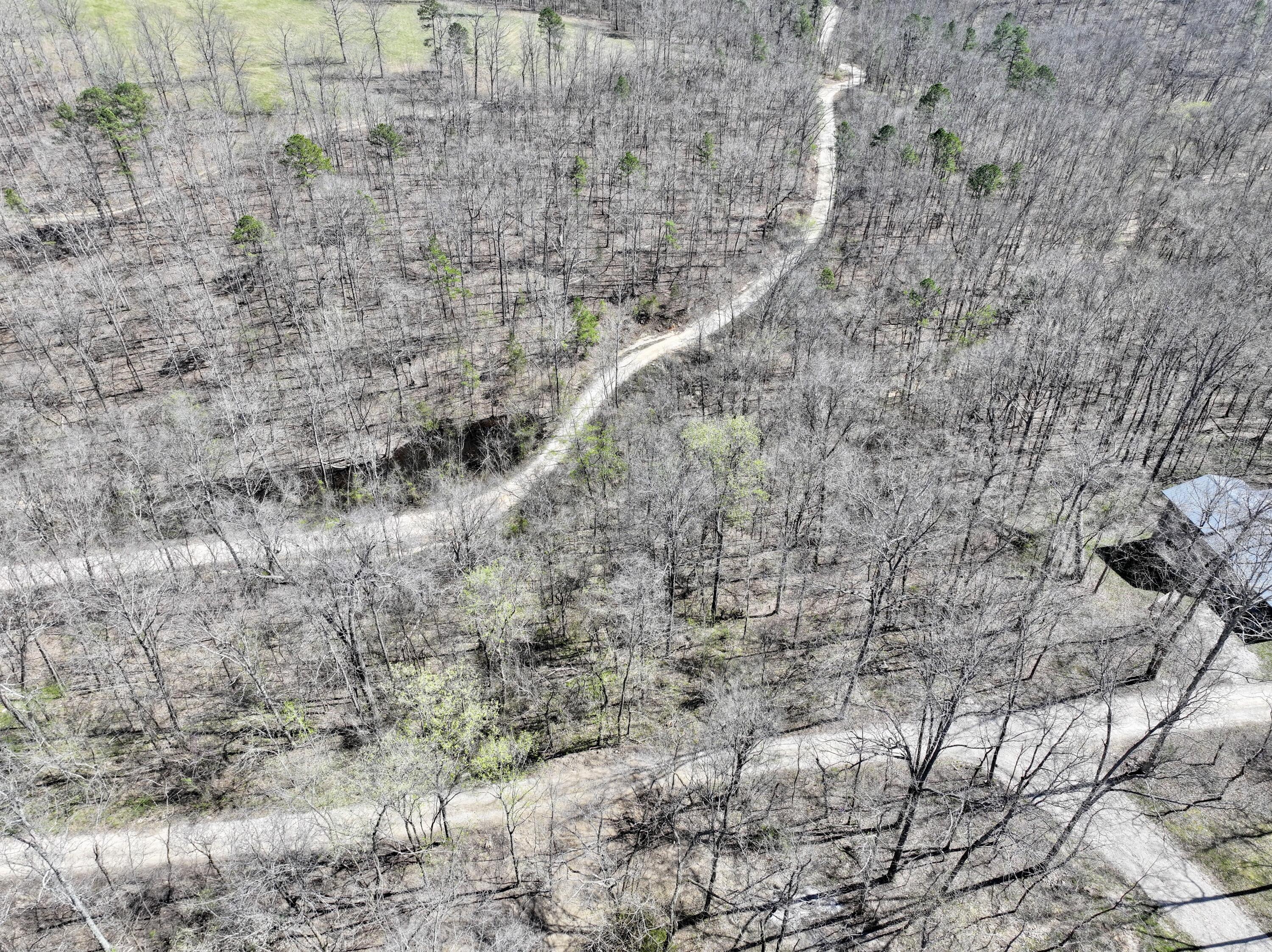 Photo 6 - Land for sale – 000  Water Tower Road  Van Buren, MO