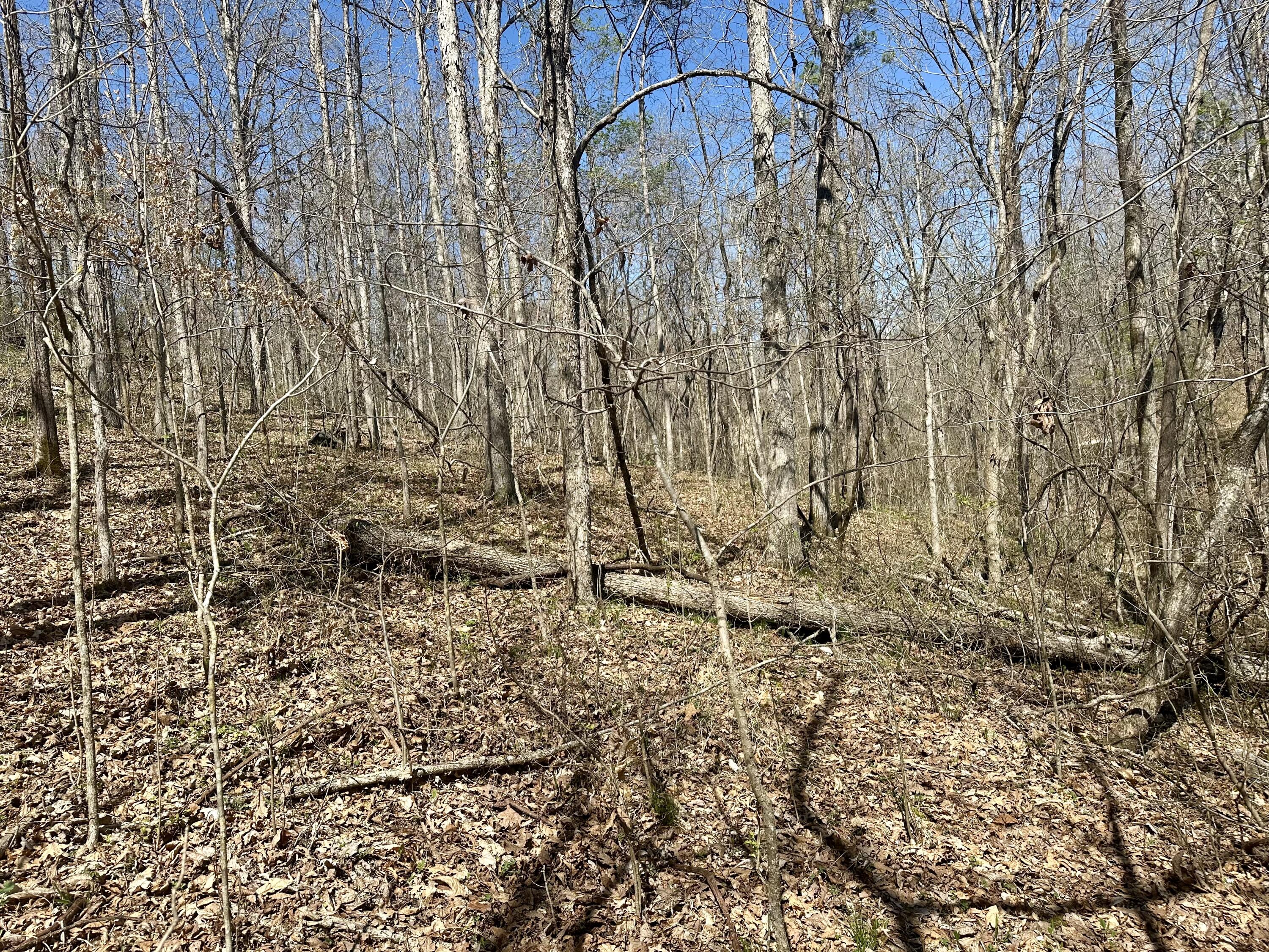 Photo 12 - Land for sale – 000  Water Tower Road  Van Buren, MO