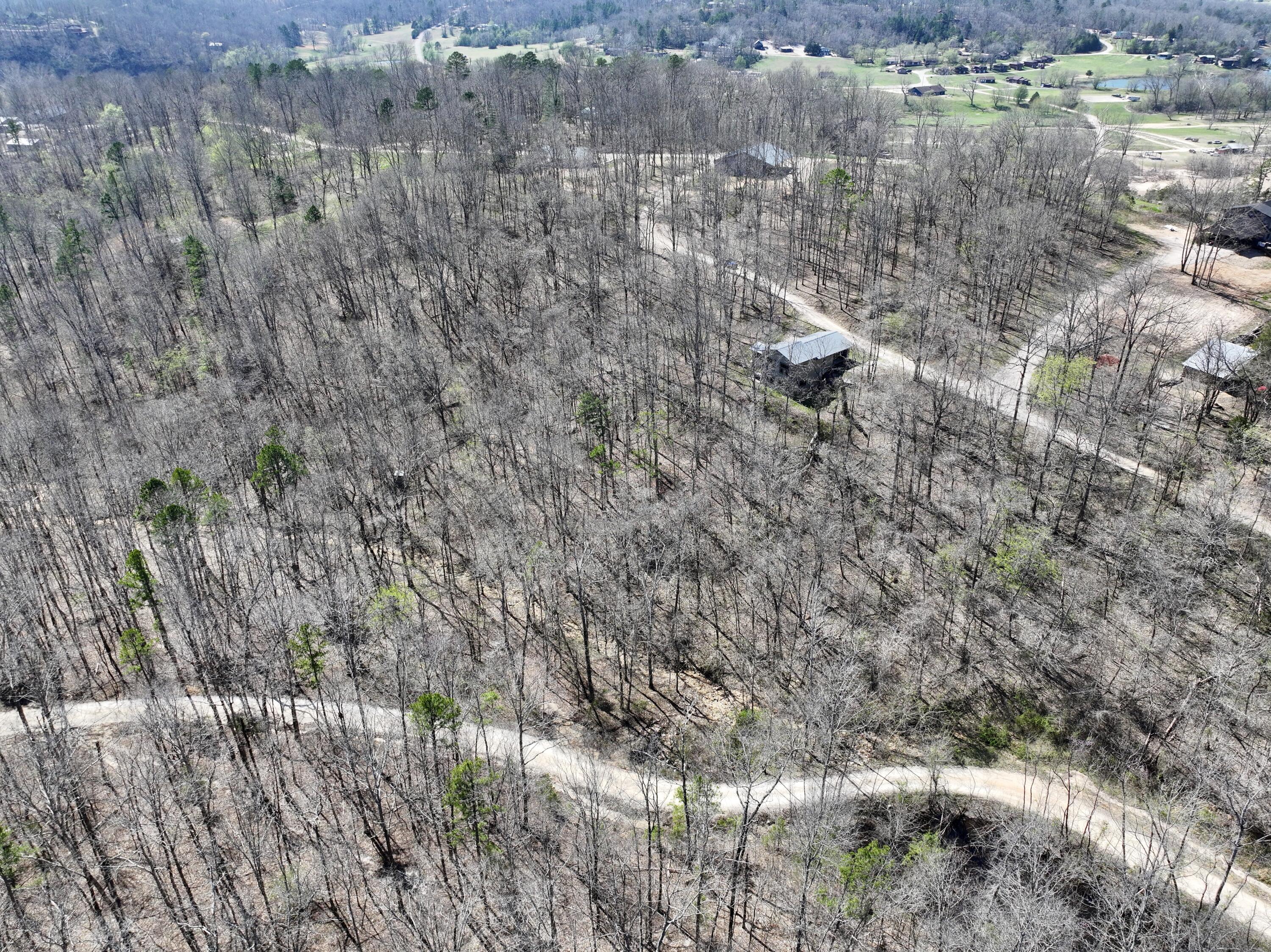 Photo 9 - Land for sale – 000  Water Tower Road  Van Buren, MO