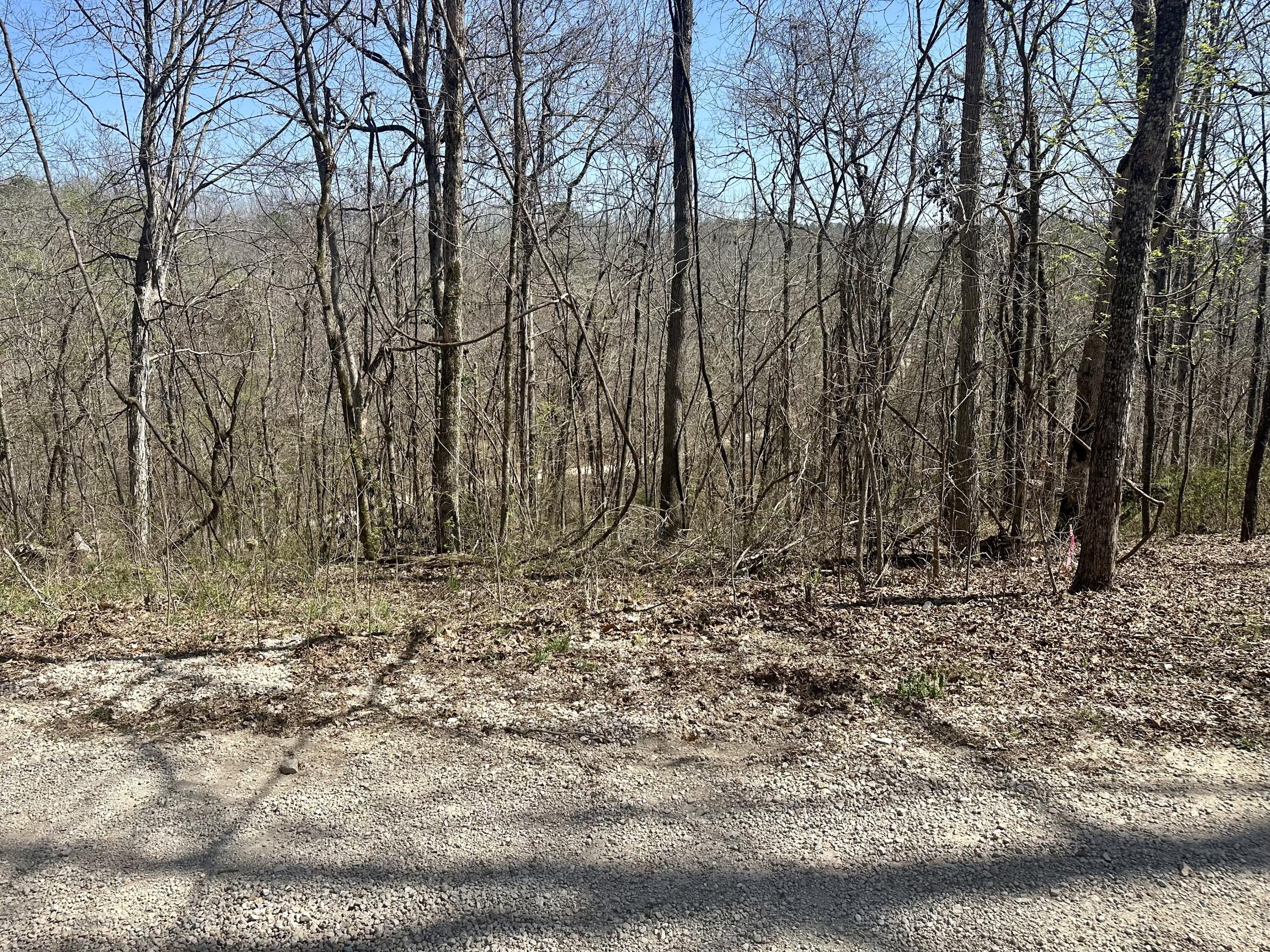 Photo 13 - Land for sale – 000  Water Tower Road  Van Buren, MO