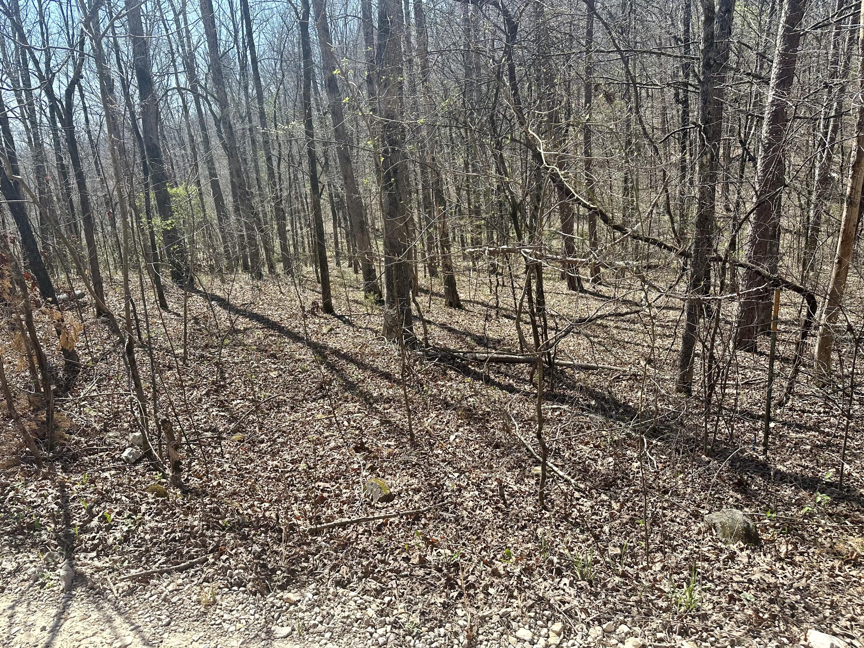 Photo 14 - Land for sale – 000  Water Tower Road  Van Buren, MO