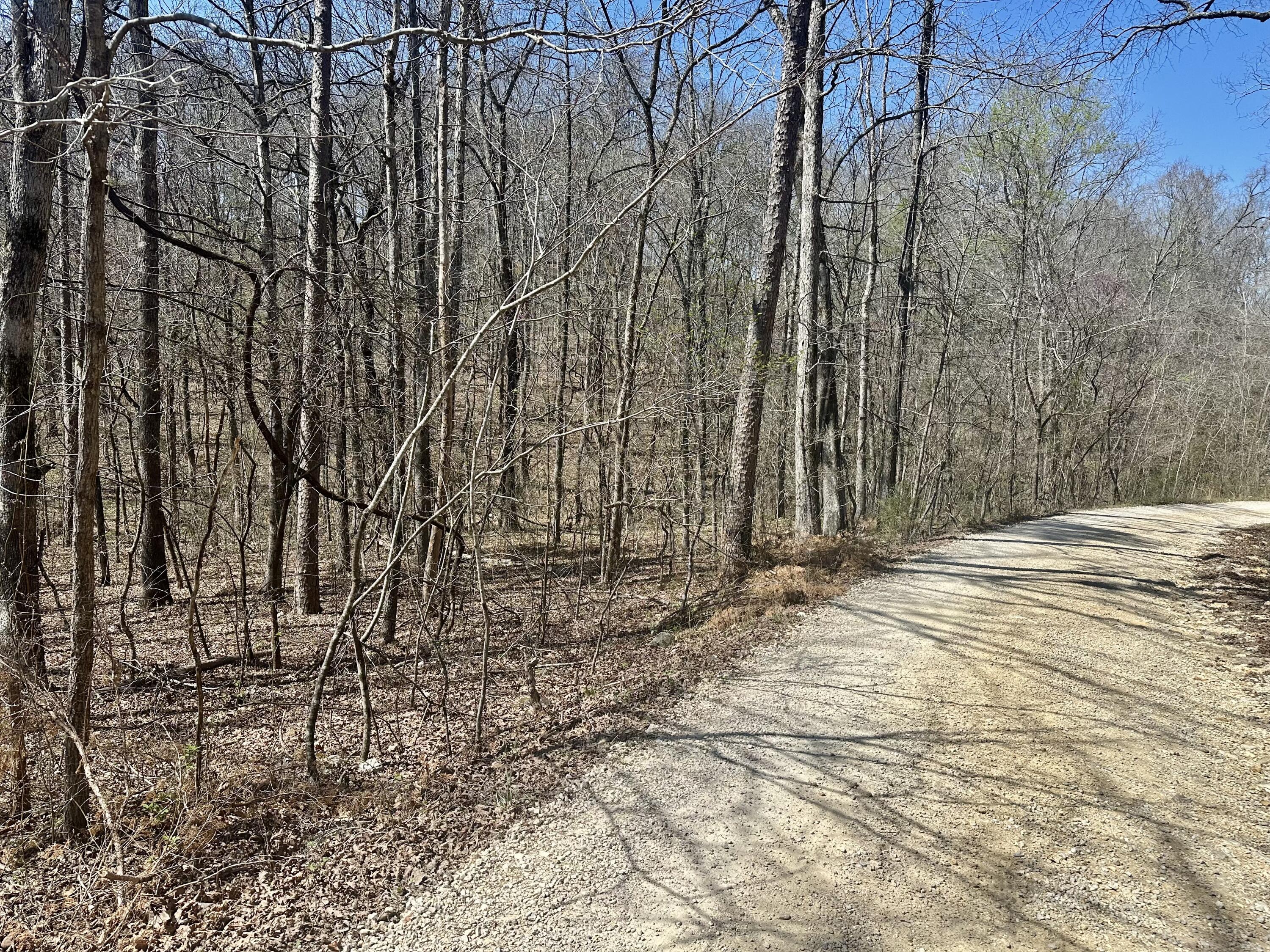 Photo 3 - Land for sale – 000  Water Tower Road  Van Buren, MO