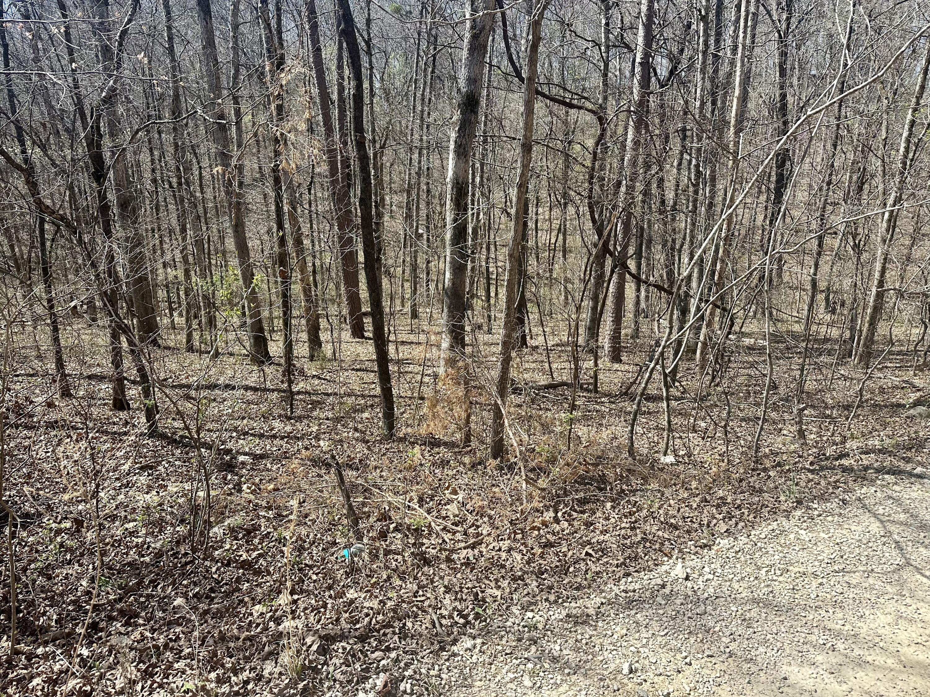 Photo 15 - Land for sale – 000  Water Tower Road  Van Buren, MO