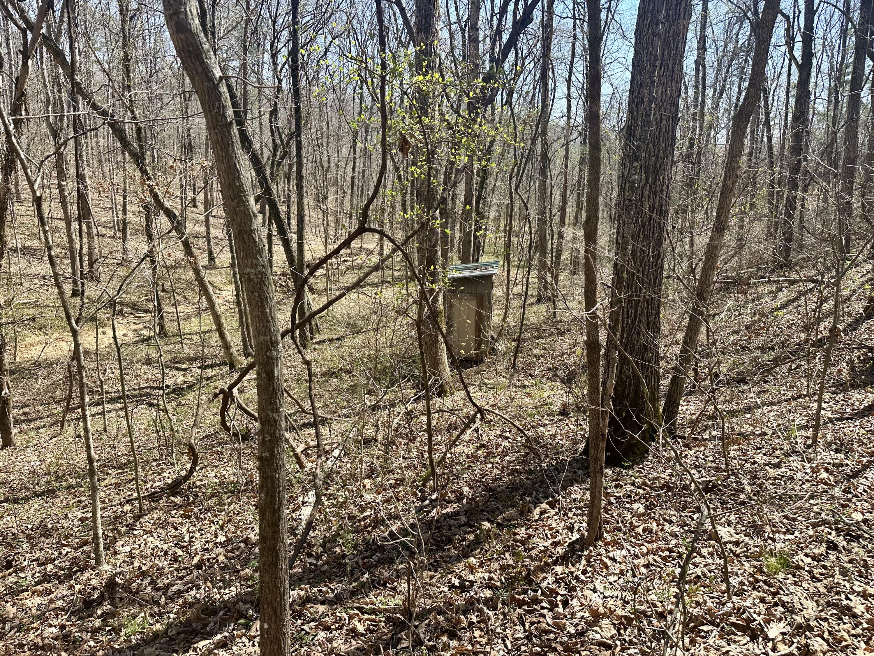 Photo 11 - Land for sale – 000  Water Tower Road  Van Buren, MO