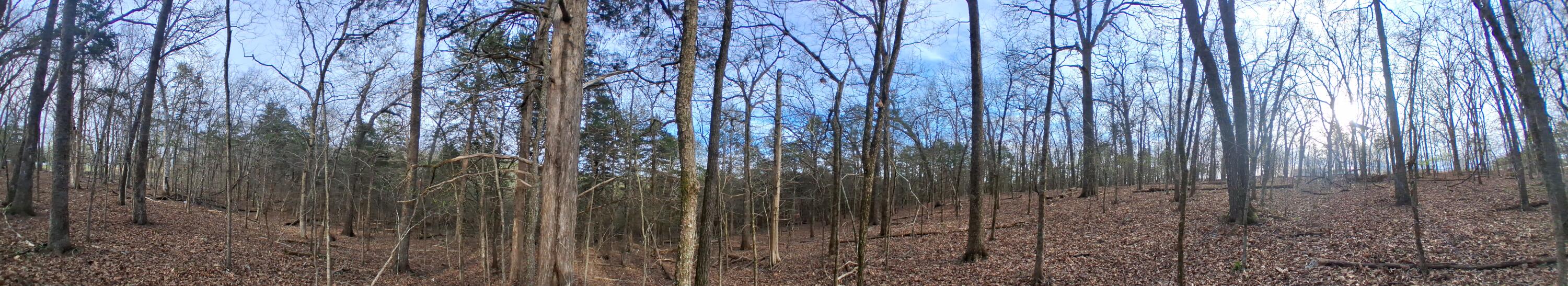 Photo 2 - Land for sale – Tbd  Lot 31, 32, 33 Truman Lane  Branson, MO