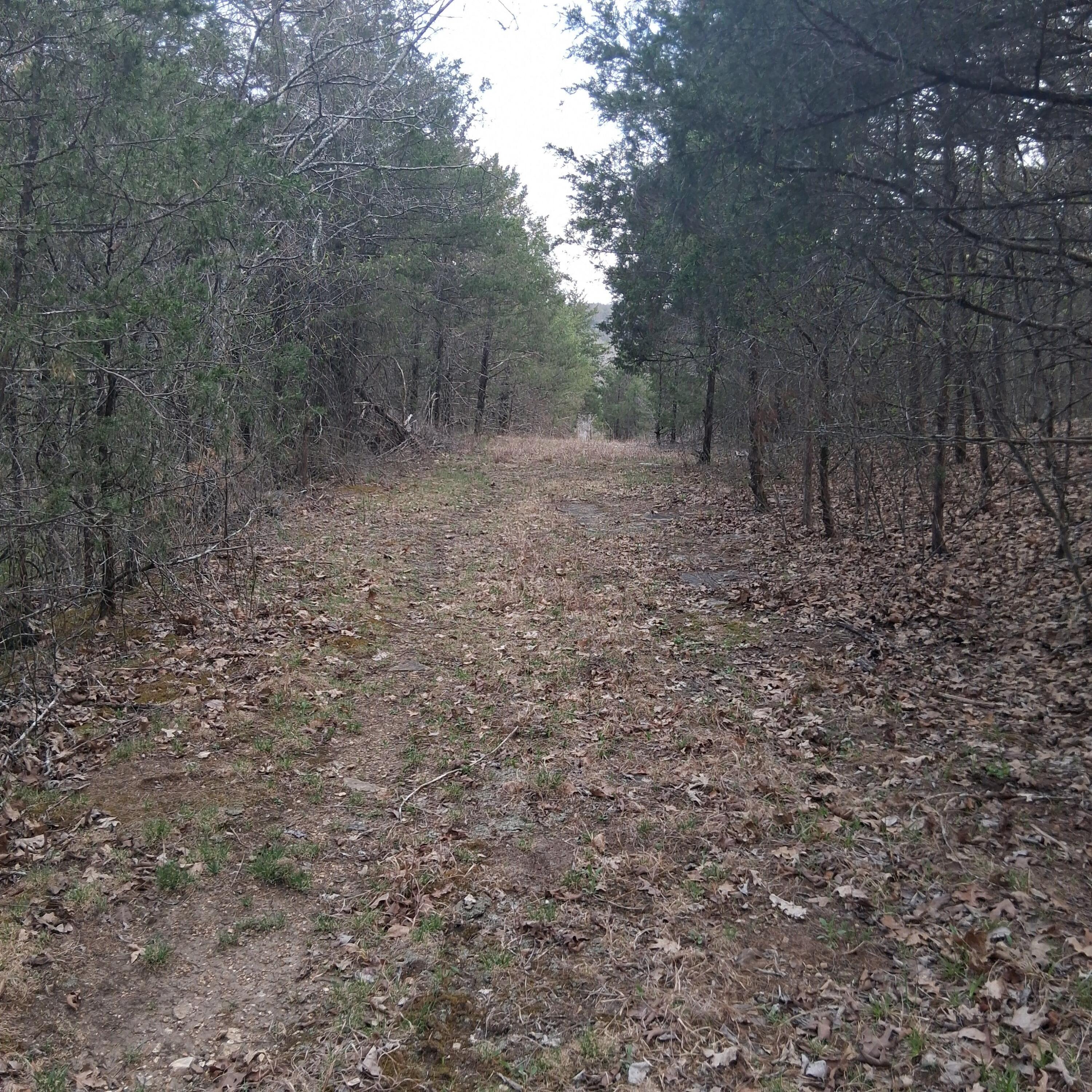 Photo 6 - Land for sale – Tbd  Lot 31, 32, 33 Truman Lane  Branson, MO
