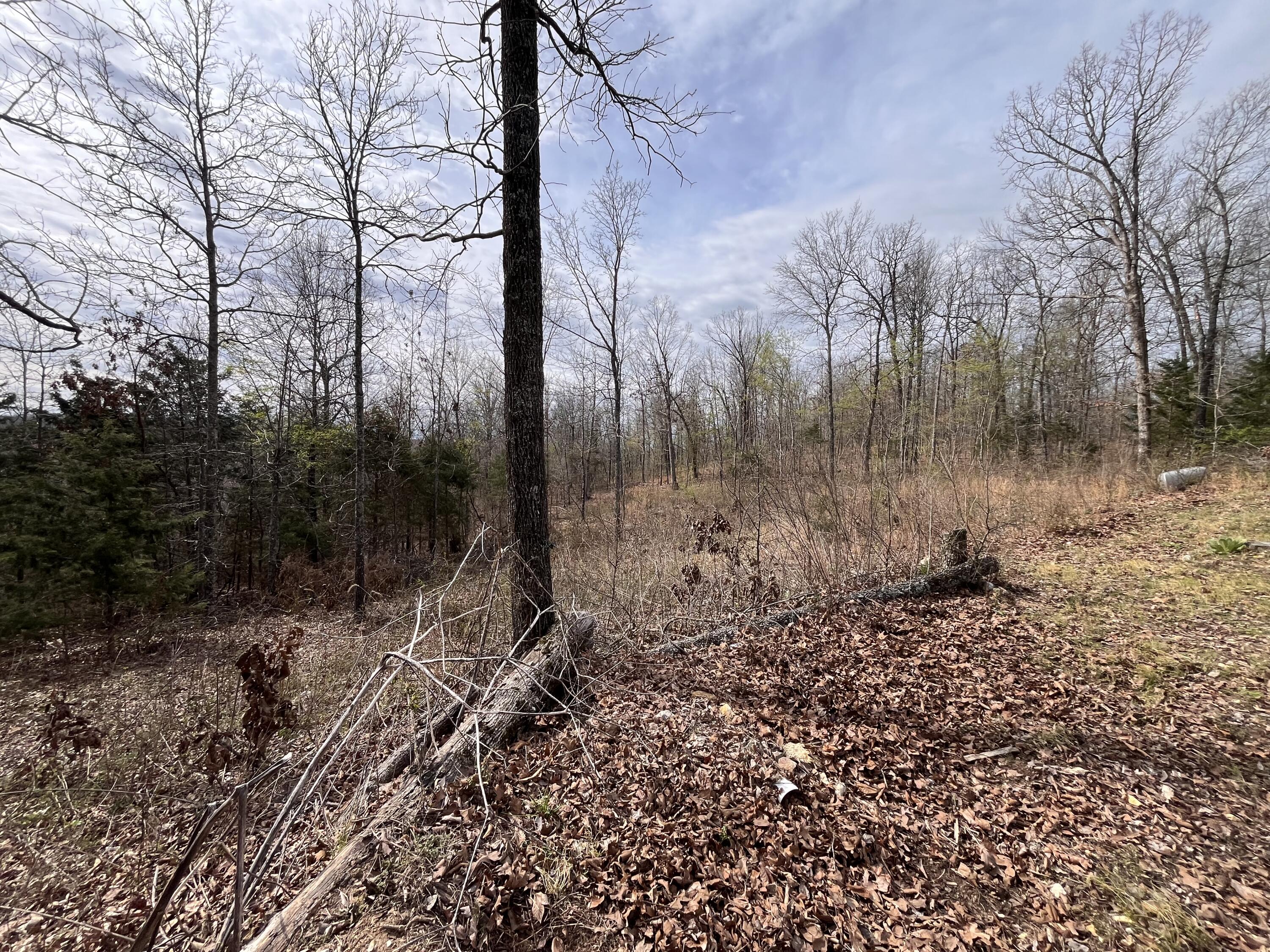 Photo 47 - Residential for sale – 1170  County Road 255   Thayer, MO