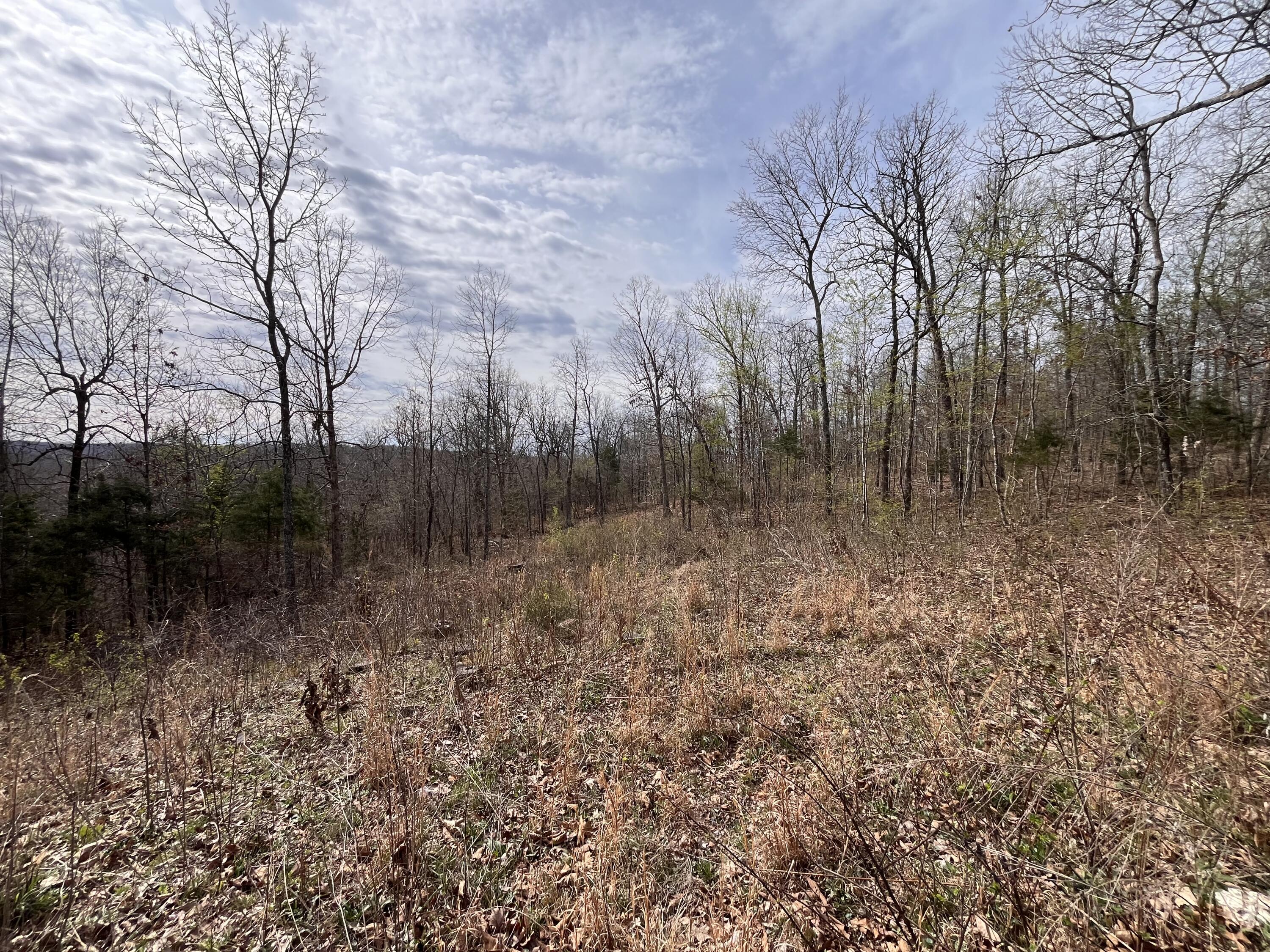 Photo 45 - Residential for sale – 1170  County Road 255   Thayer, MO