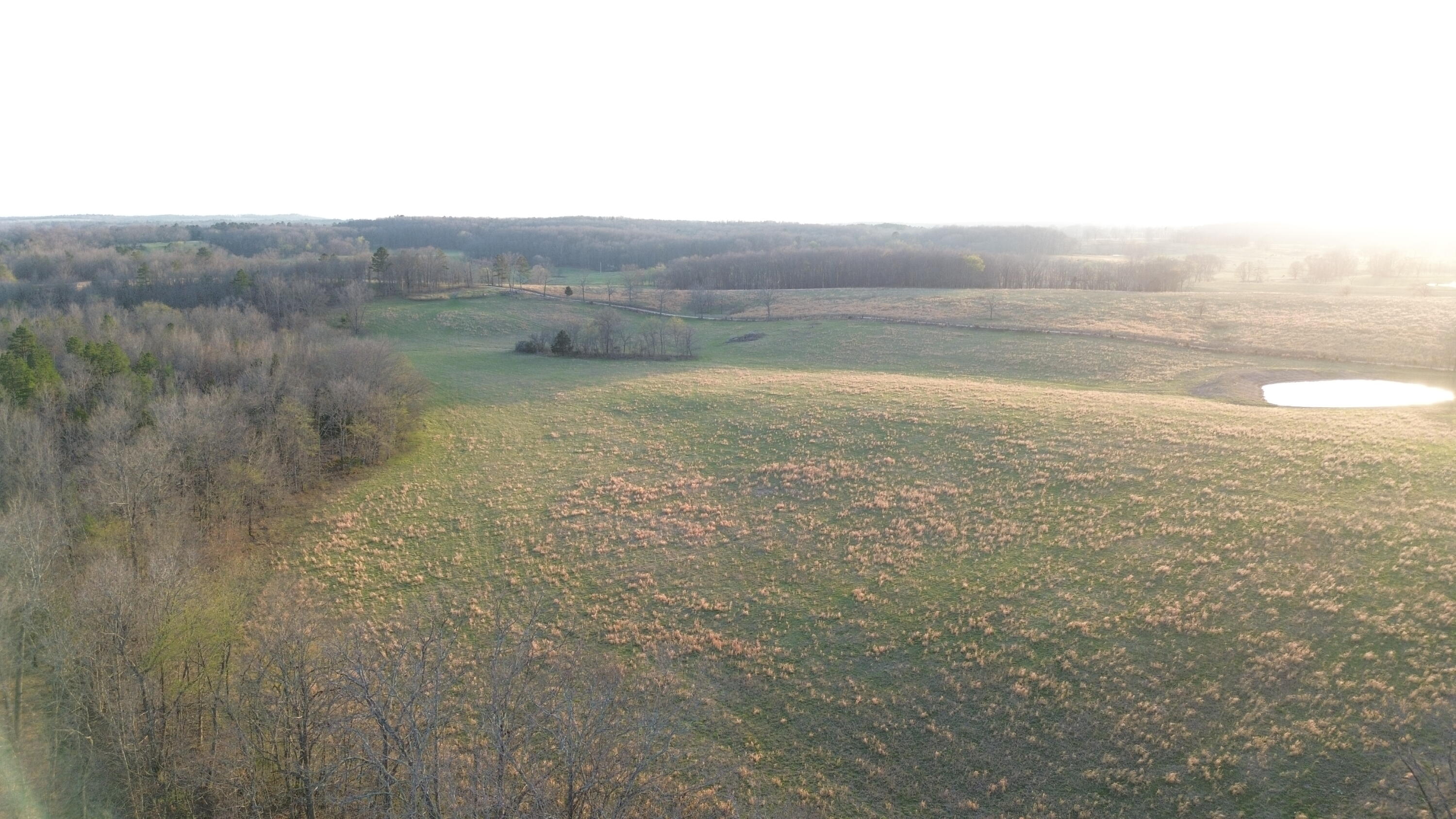 Photo 9 - Land for sale – Tract #1  County Road Ww-A   Summersville, MO
