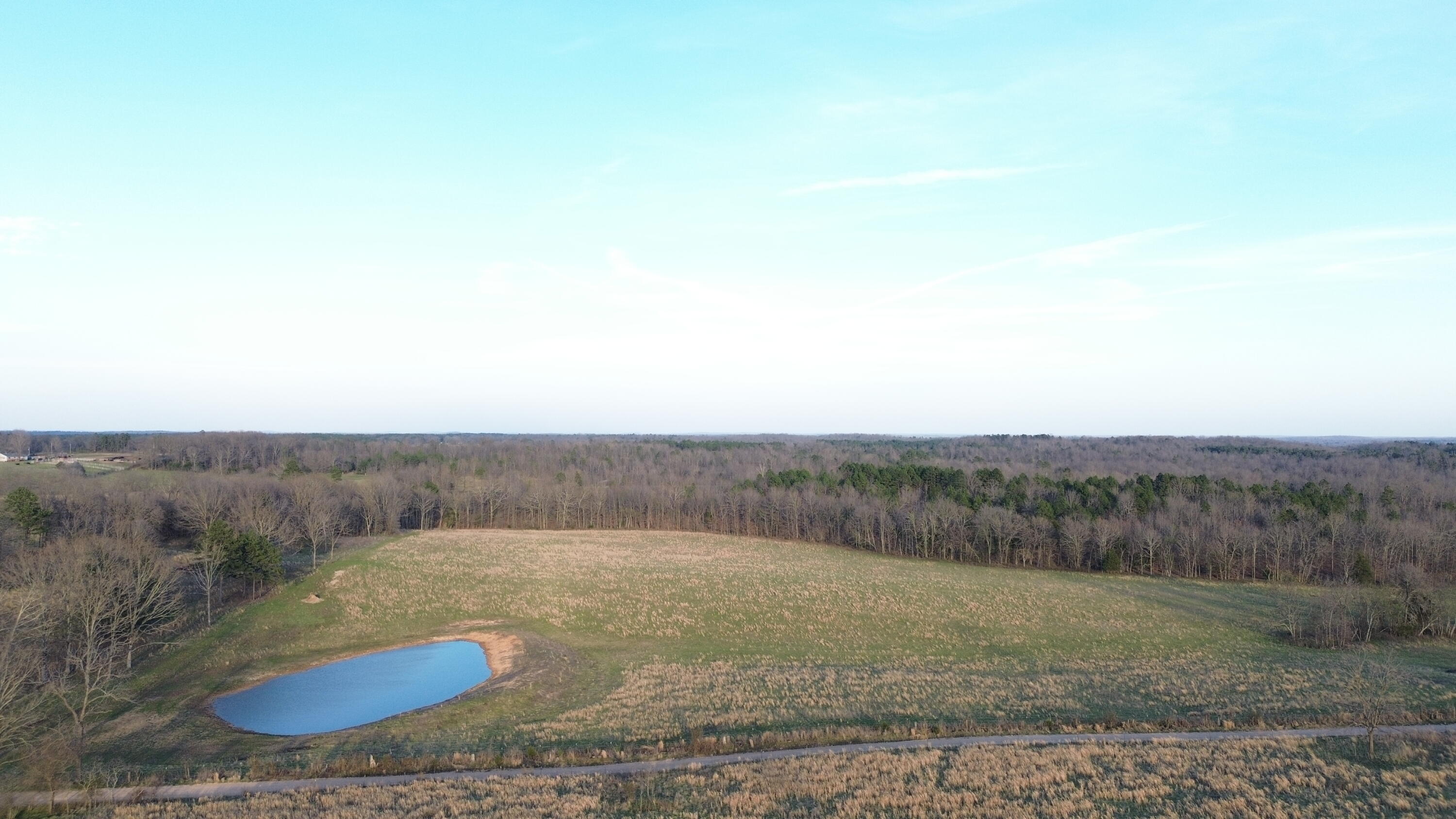 Photo 2 - Land for sale – Tract #1  County Road Ww-A   Summersville, MO