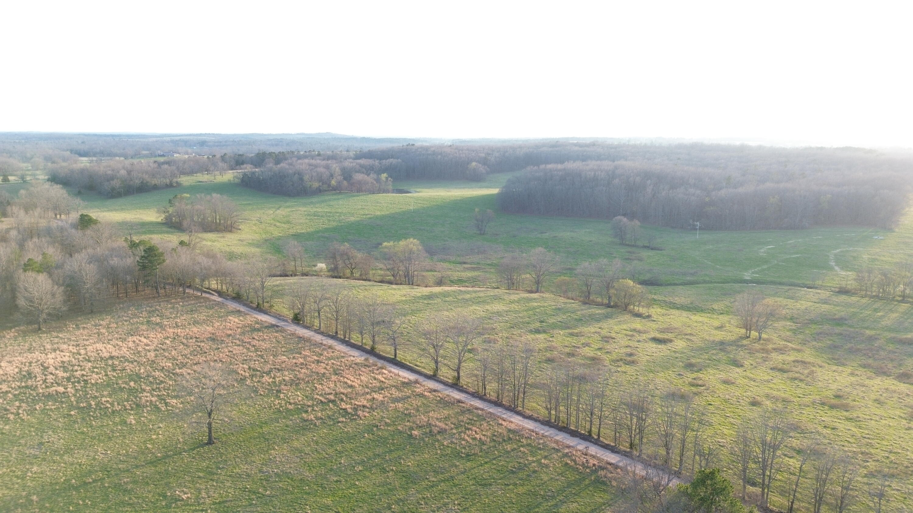 Photo 5 - Land for sale – Tract #1  County Road Ww-A   Summersville, MO