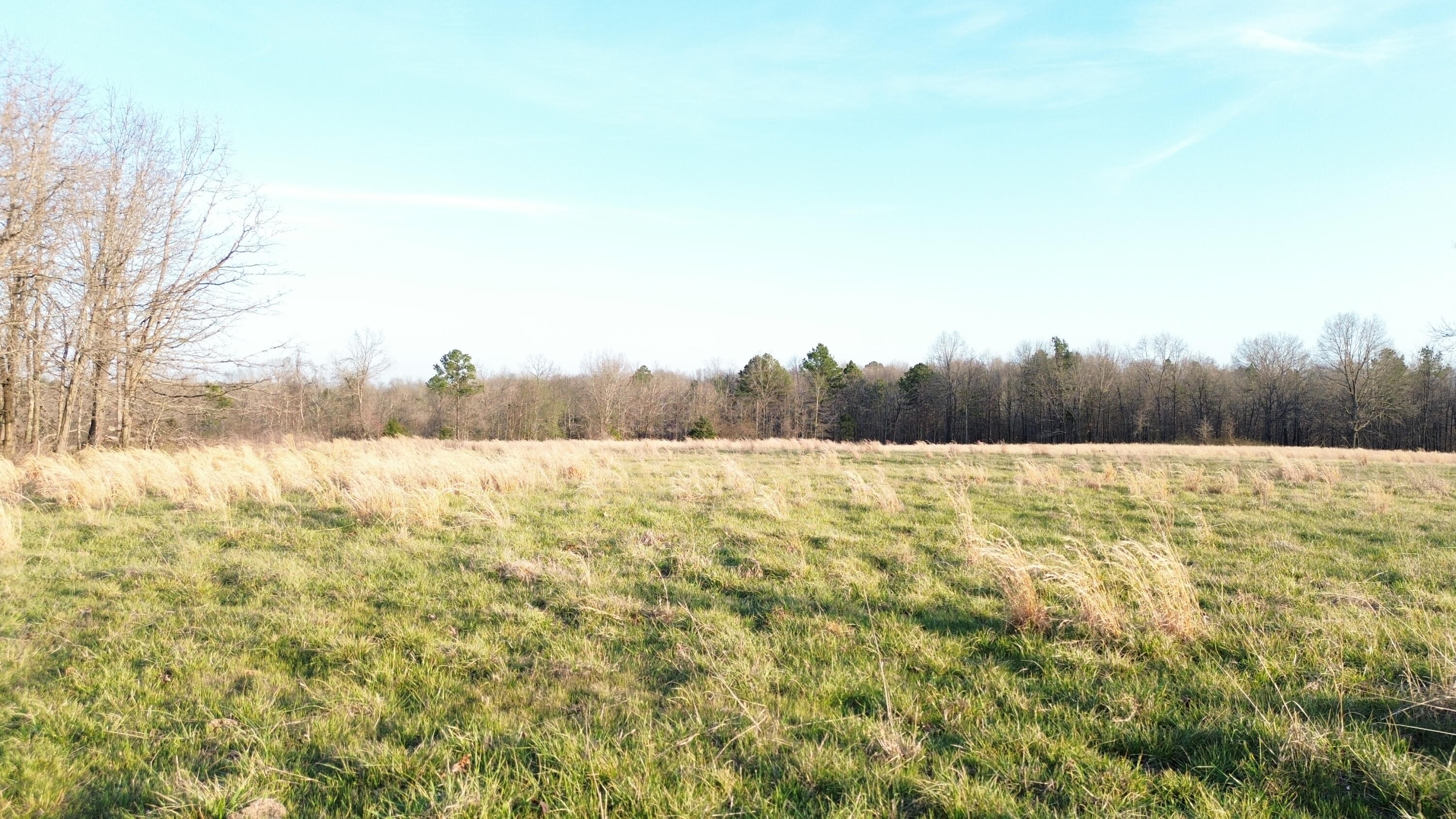 Land for sale – Tract #1  County Road Ww-A   Summersville, MO