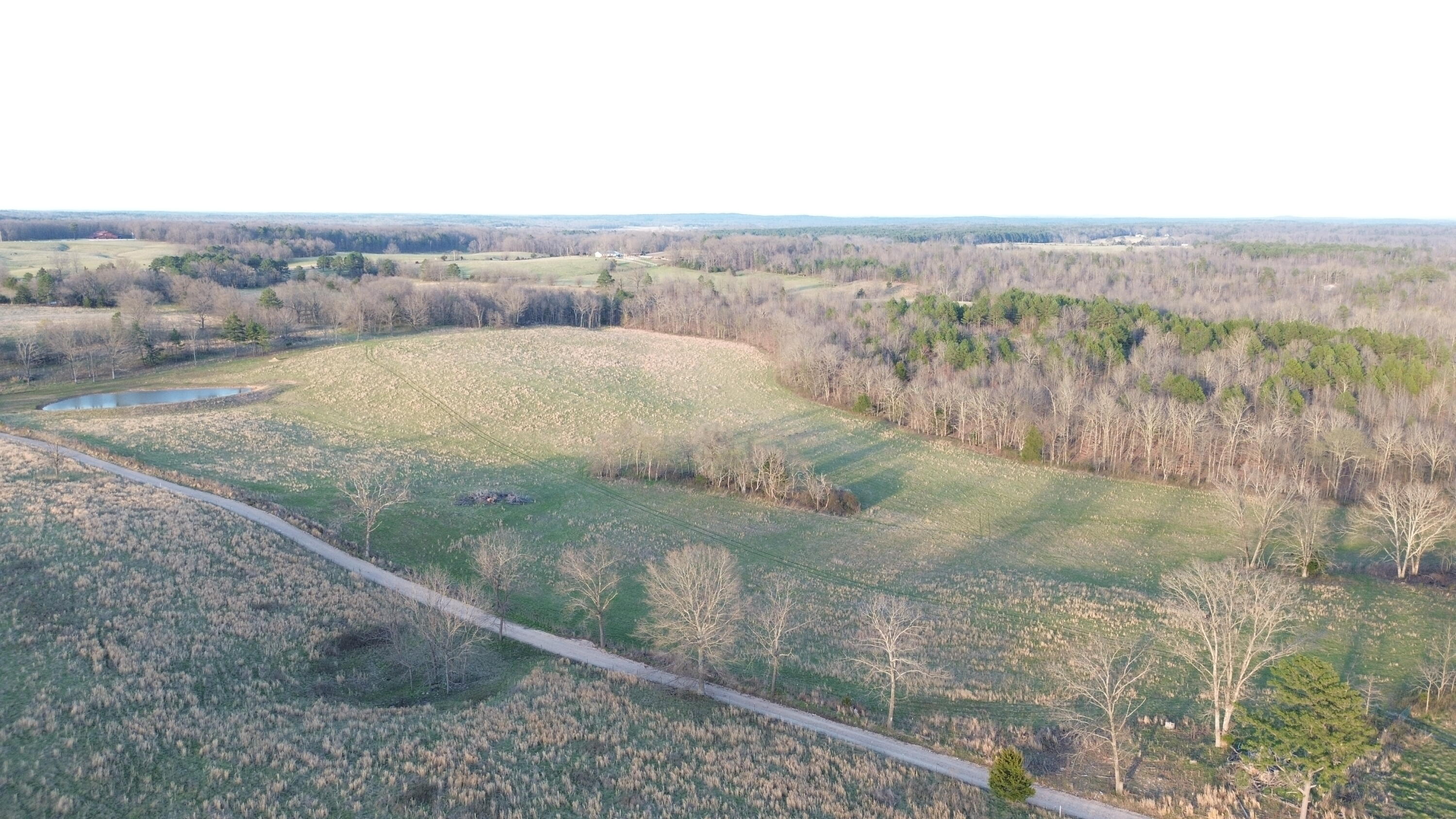 Photo 4 - Land for sale – Tract #1  County Road Ww-A   Summersville, MO