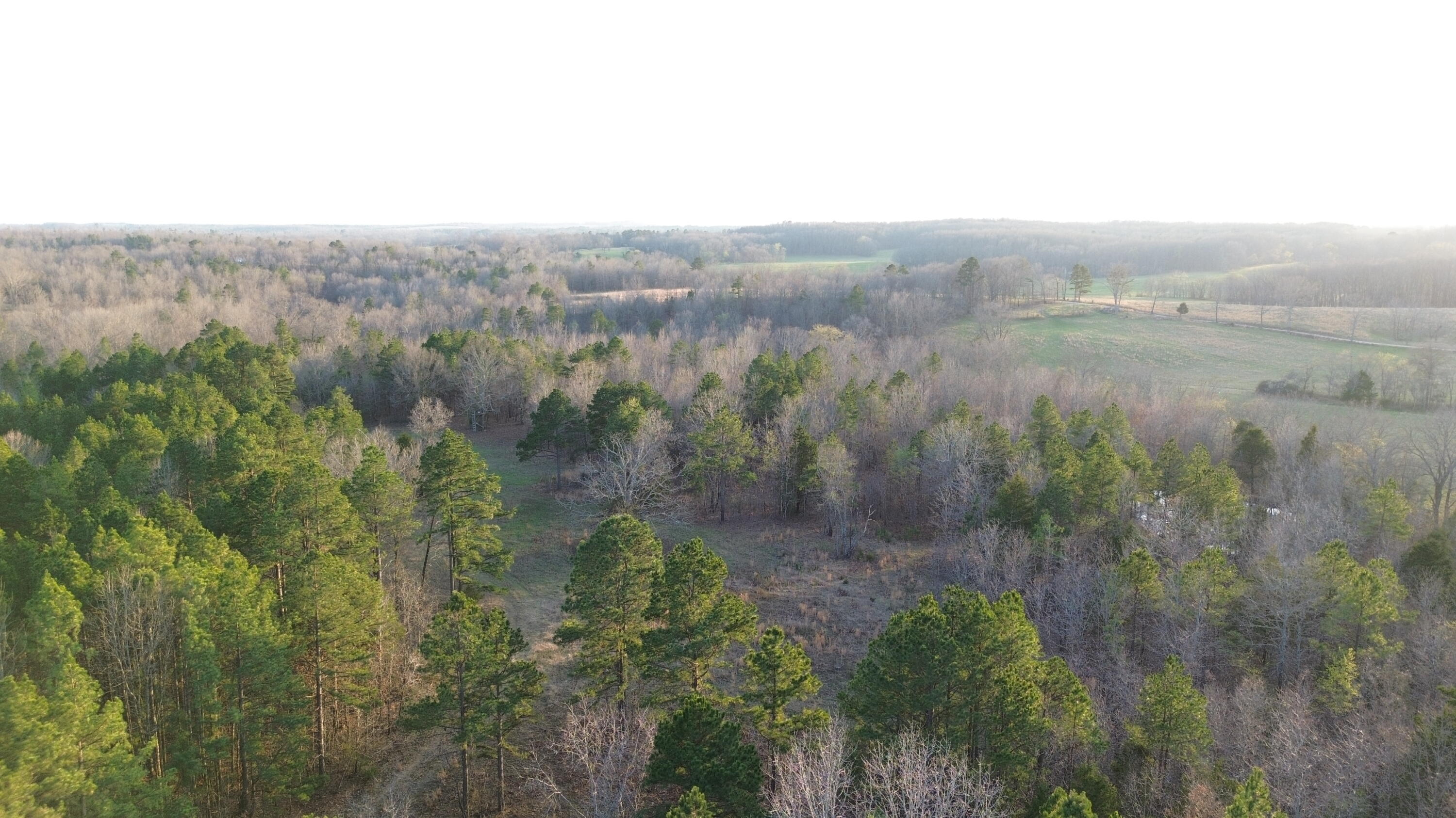 Photo 7 - Land for sale – Tract #1  County Road Ww-A   Summersville, MO