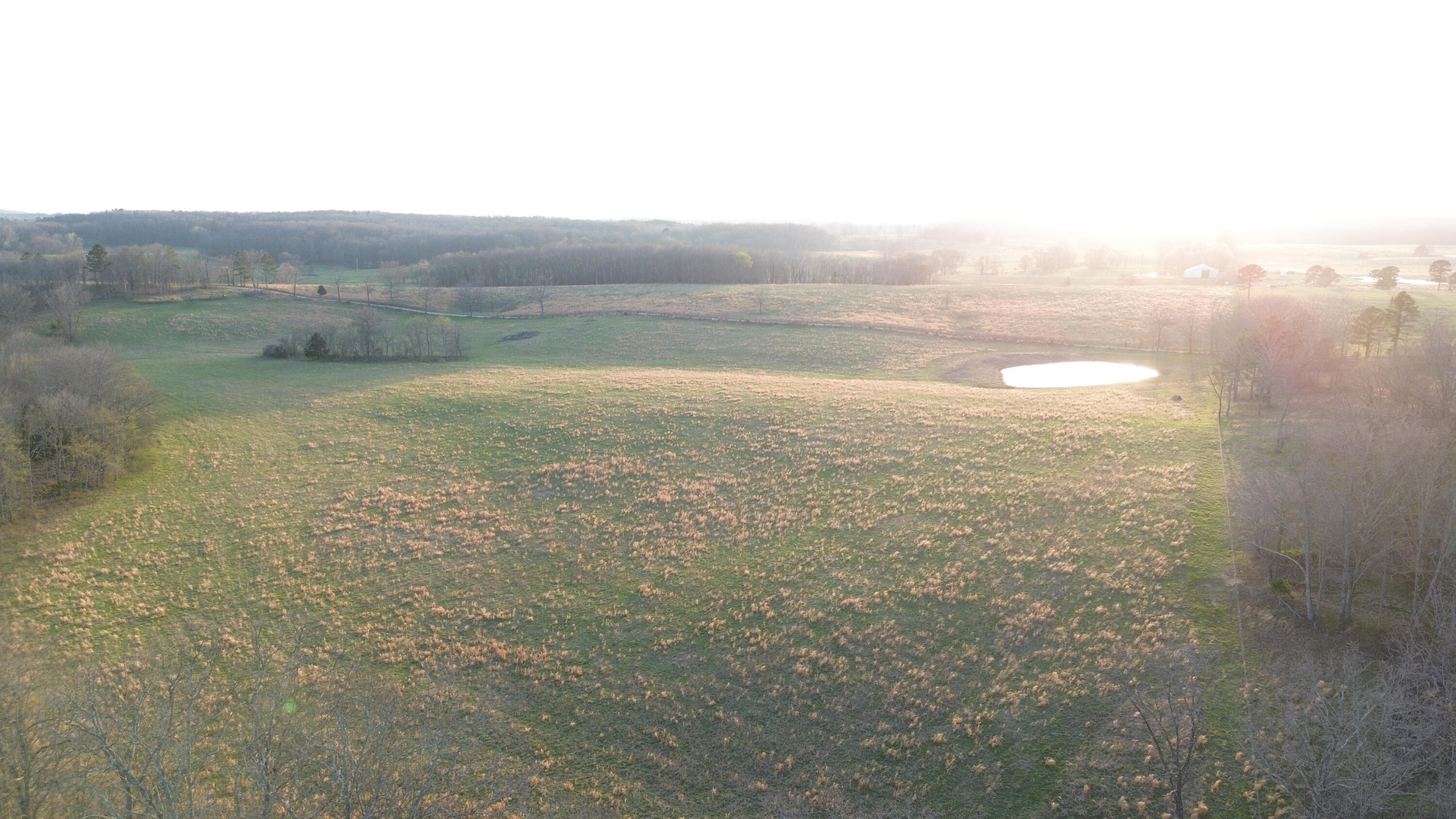 Photo 8 - Land for sale – Tract #1  County Road Ww-A   Summersville, MO