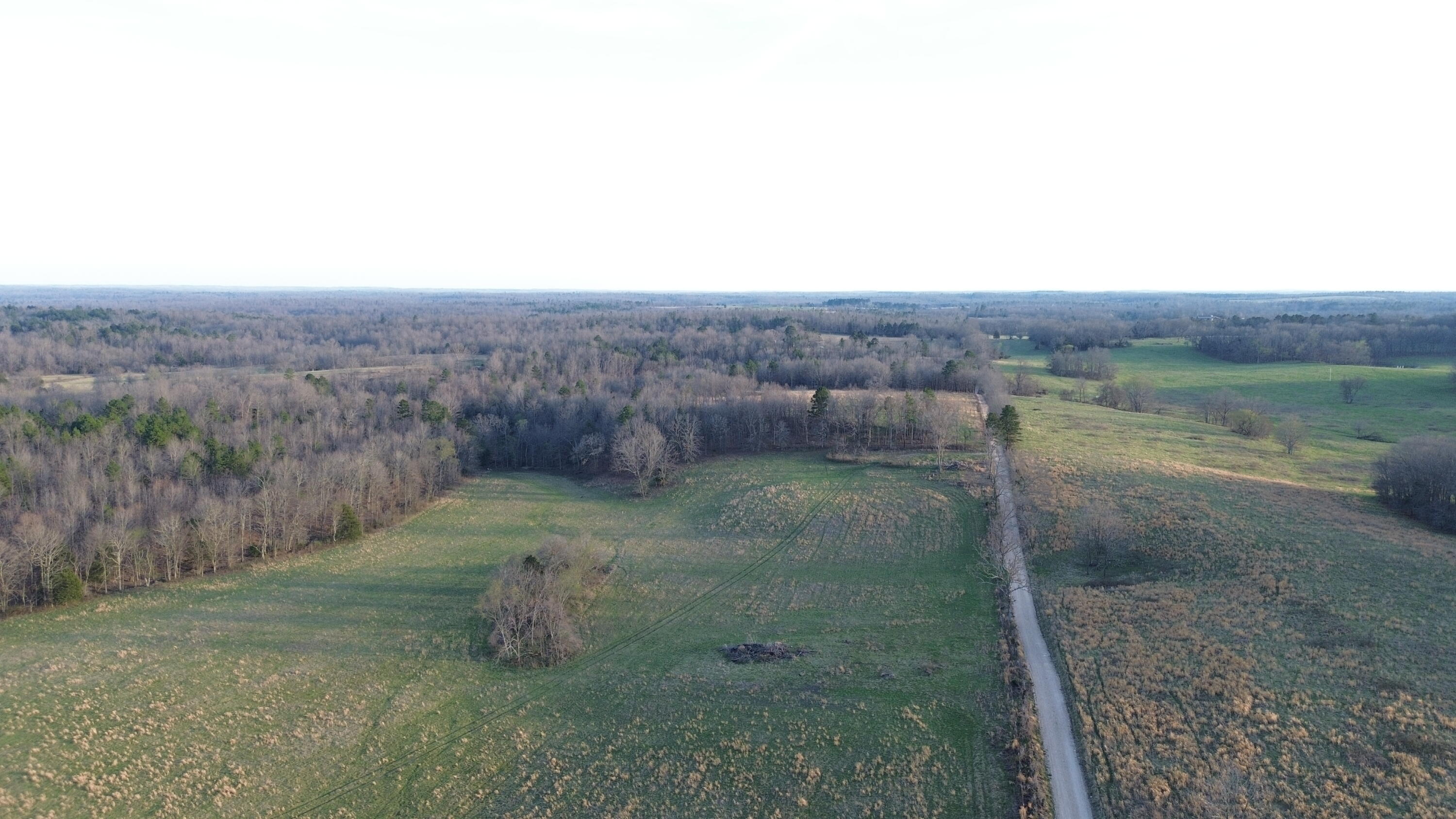 Photo 3 - Land for sale – Tract #1  County Road Ww-A   Summersville, MO