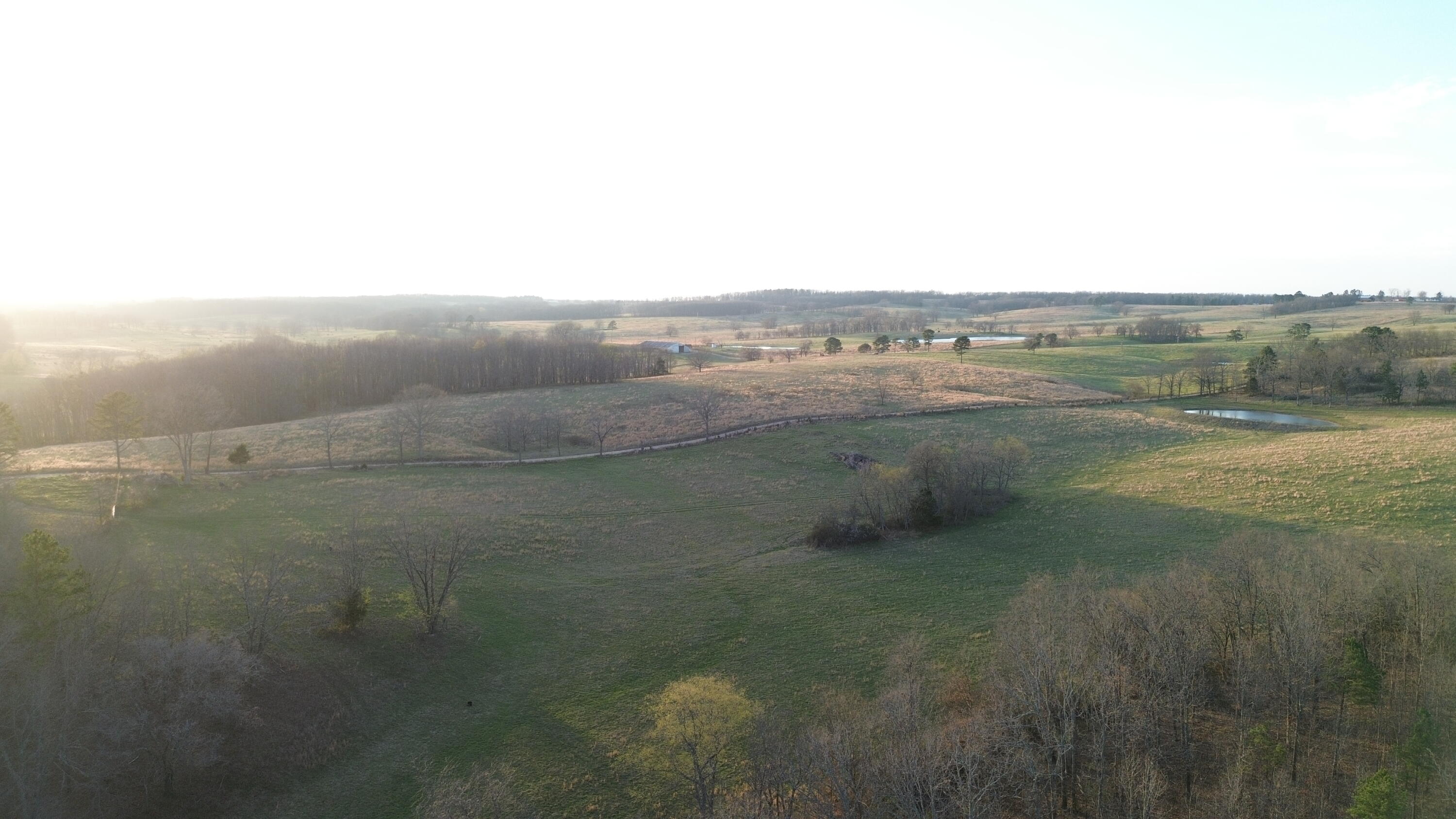 Photo 6 - Land for sale – Tract #1  County Road Ww-A   Summersville, MO