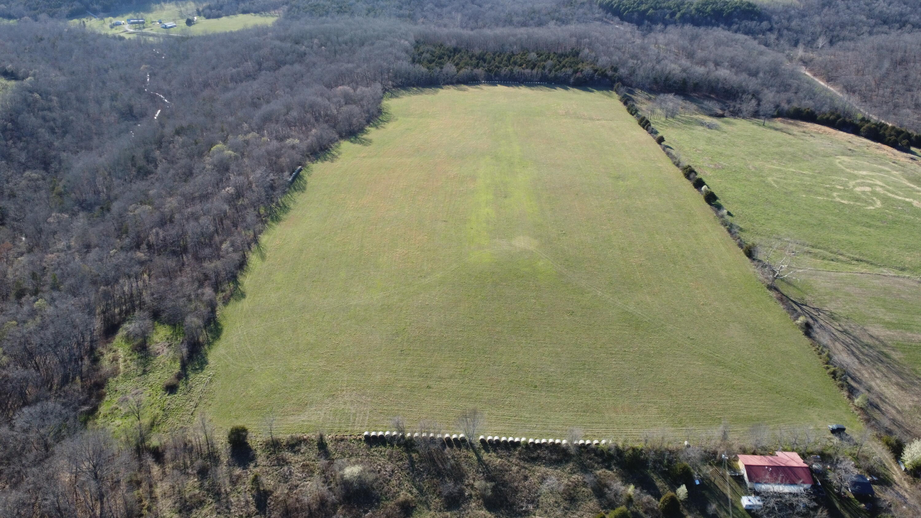 Photo 4 - Land for sale – 000  County Road T-450   Oldfield, MO
