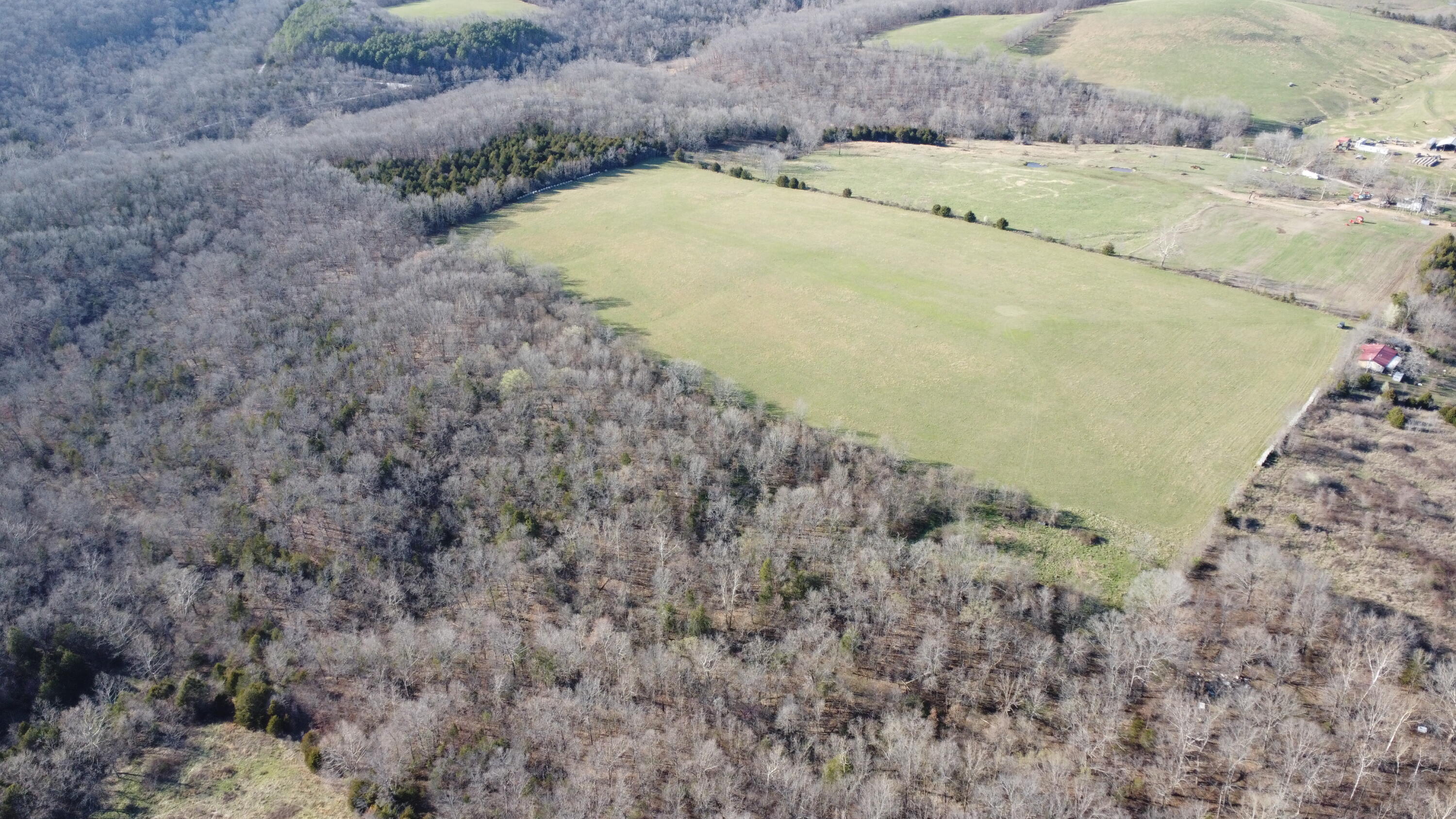 Photo 6 - Land for sale – 000  County Road T-450   Oldfield, MO